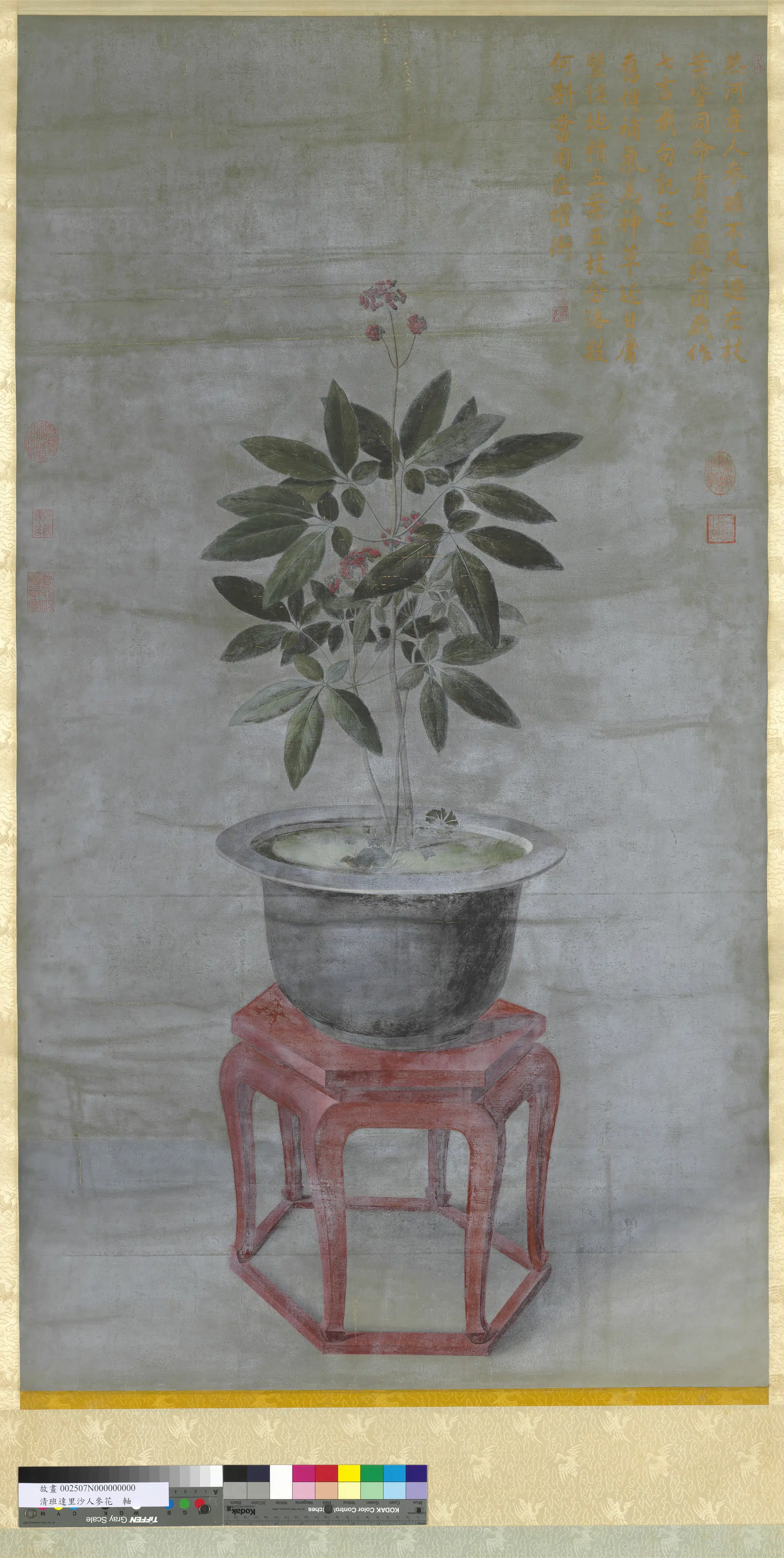 清代【班达里沙】《人参花轴》