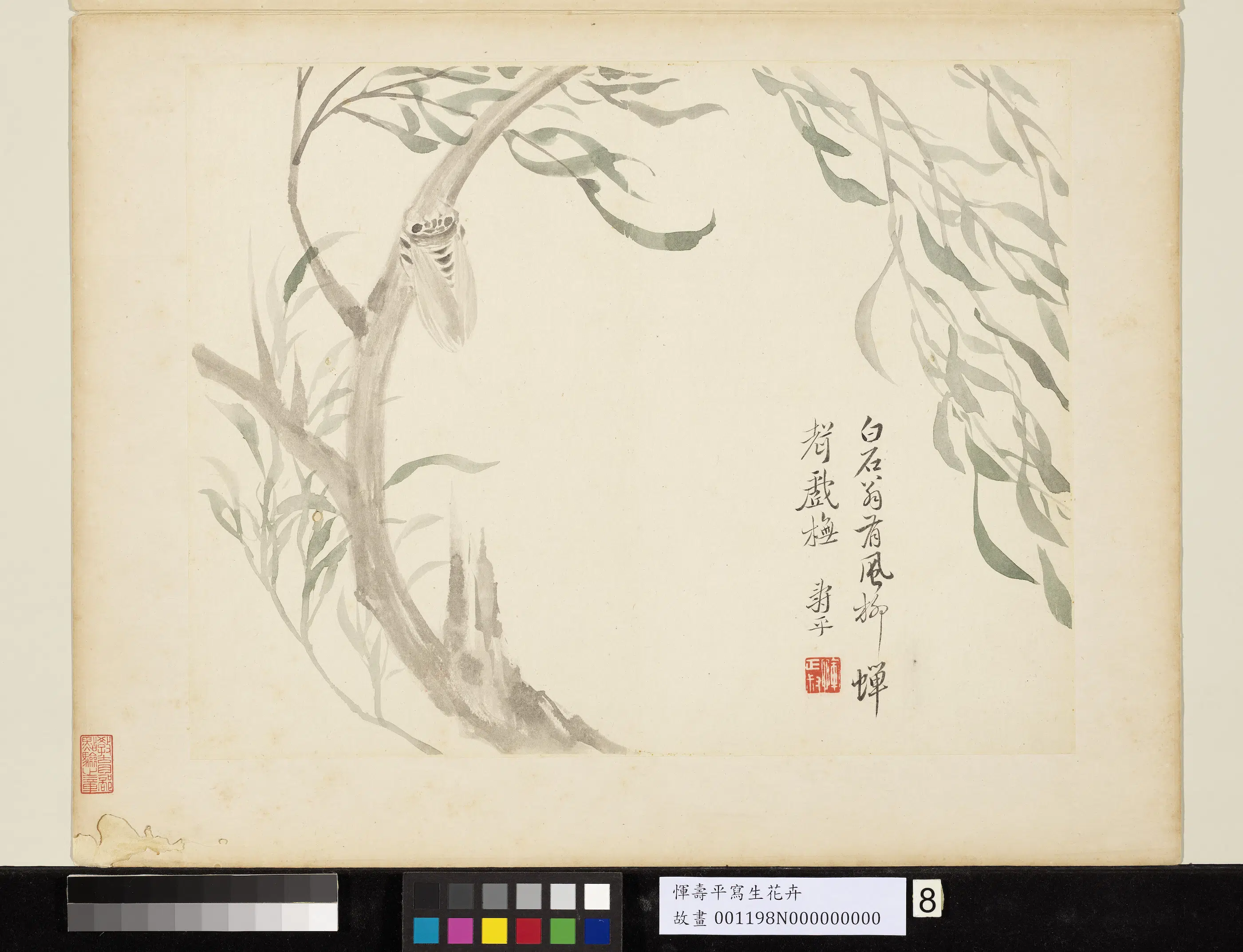 清代【恽寿平】《写生花卉册-风柳蝉声》