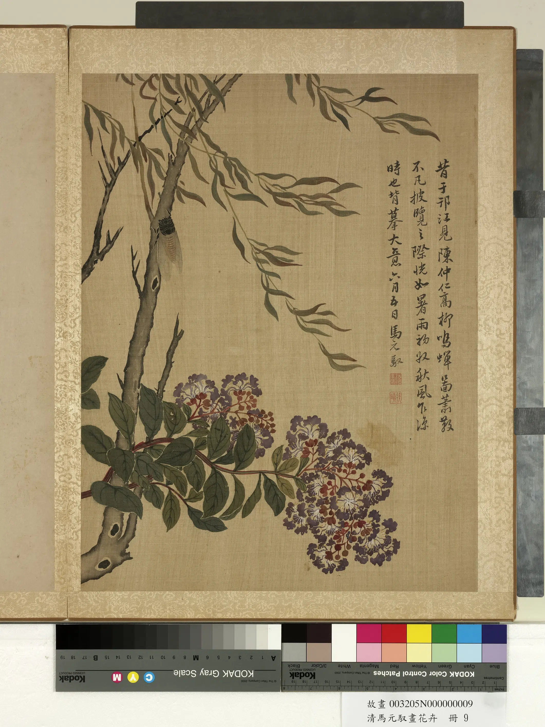 清朝【马元驭】《画花卉册》 第3张