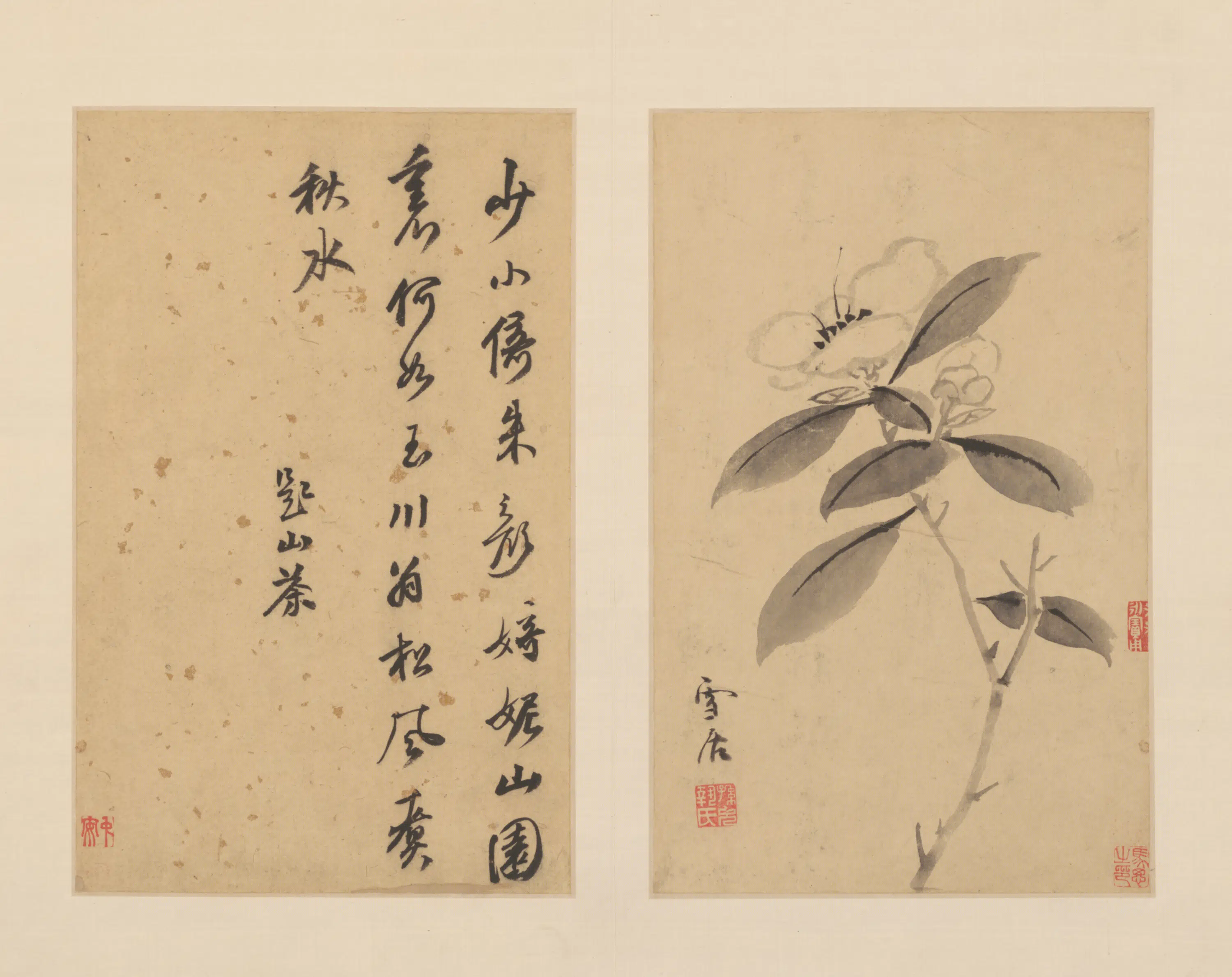 明朝【孙克弘】《花卉图册（11开）》 第8张