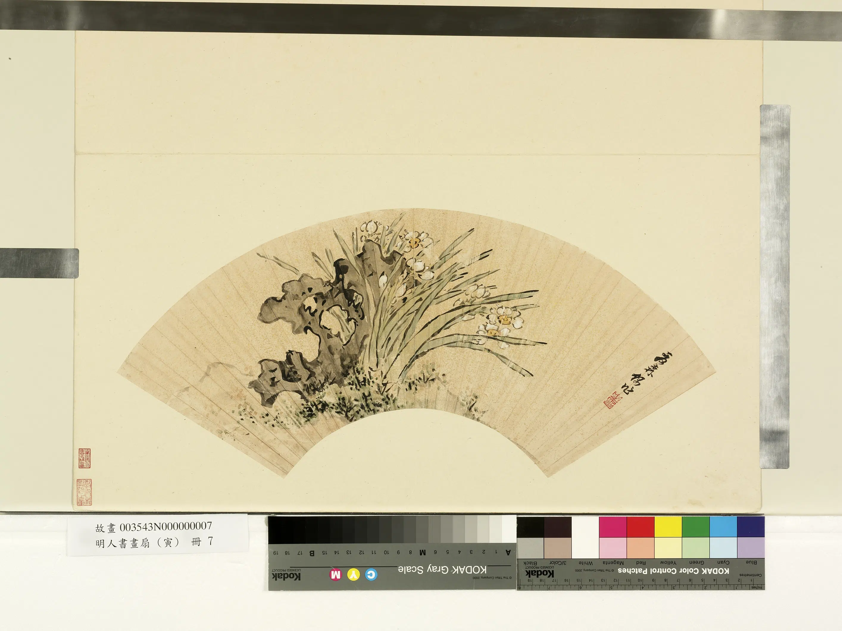 清代【夏森】《明人书画扇(寅)册-湖石水仙》