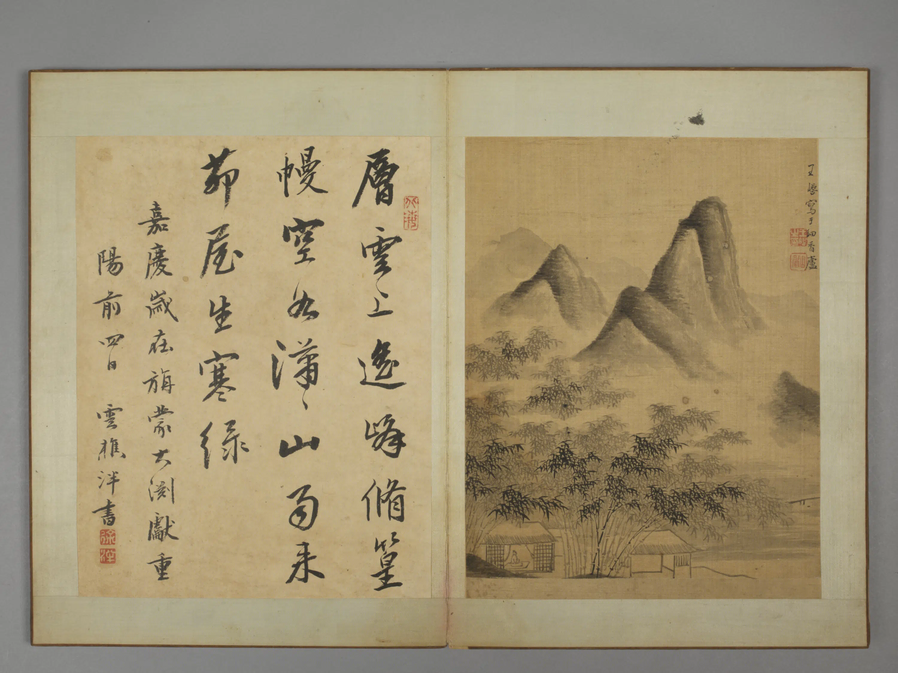 清代【王崿】《竹石册》 第6张