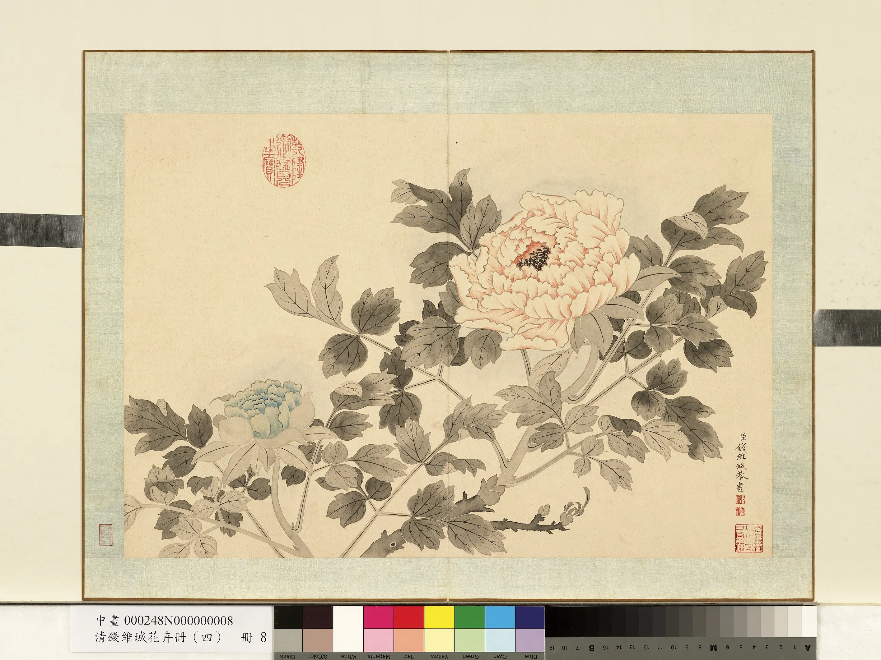清代【钱维城】《花卉册（四）册-画牡丹之八》