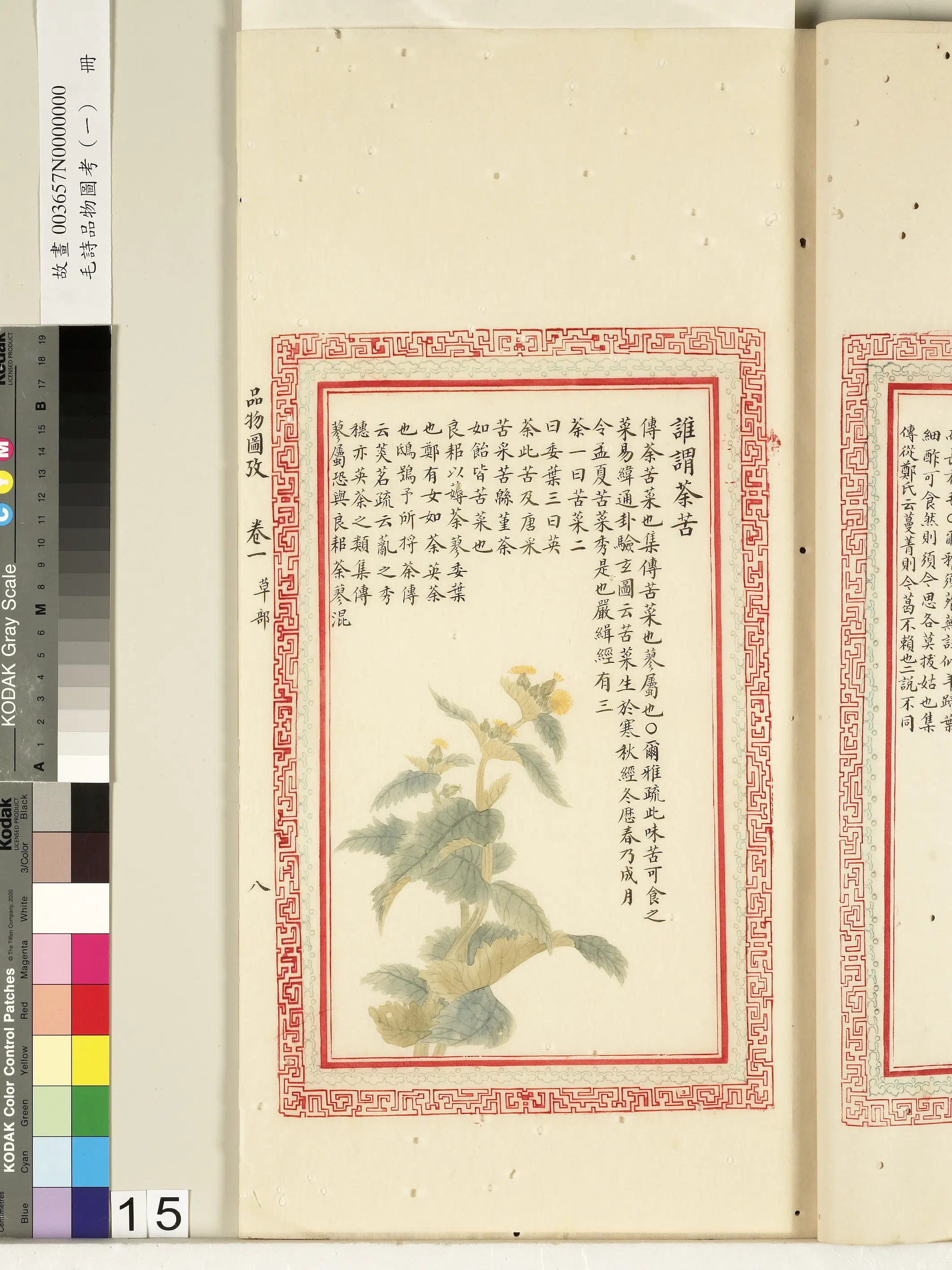 清朝《毛诗品物图考（一）册-2》 第48张