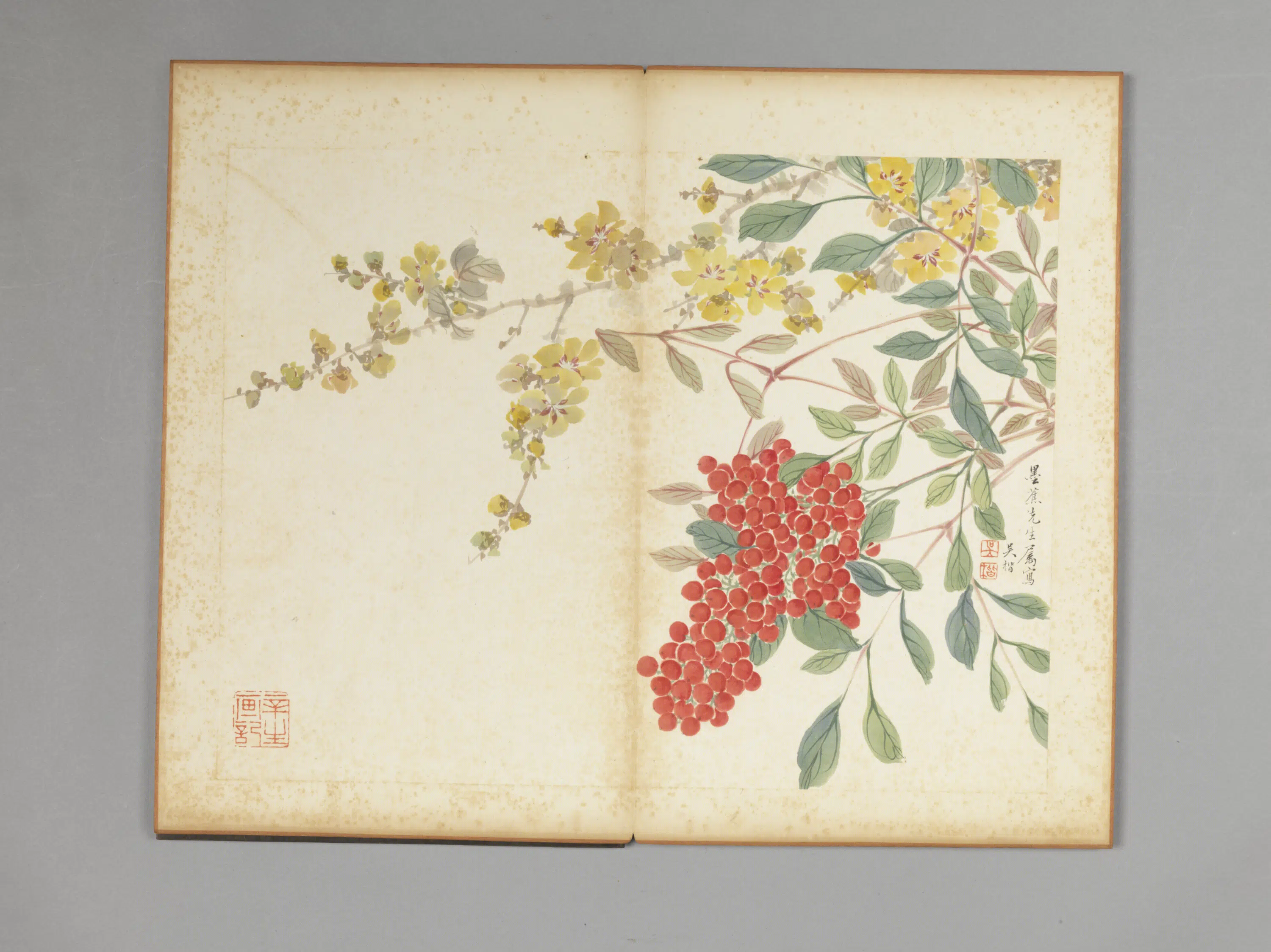 清代【吴楷】《花卉册》 第7张