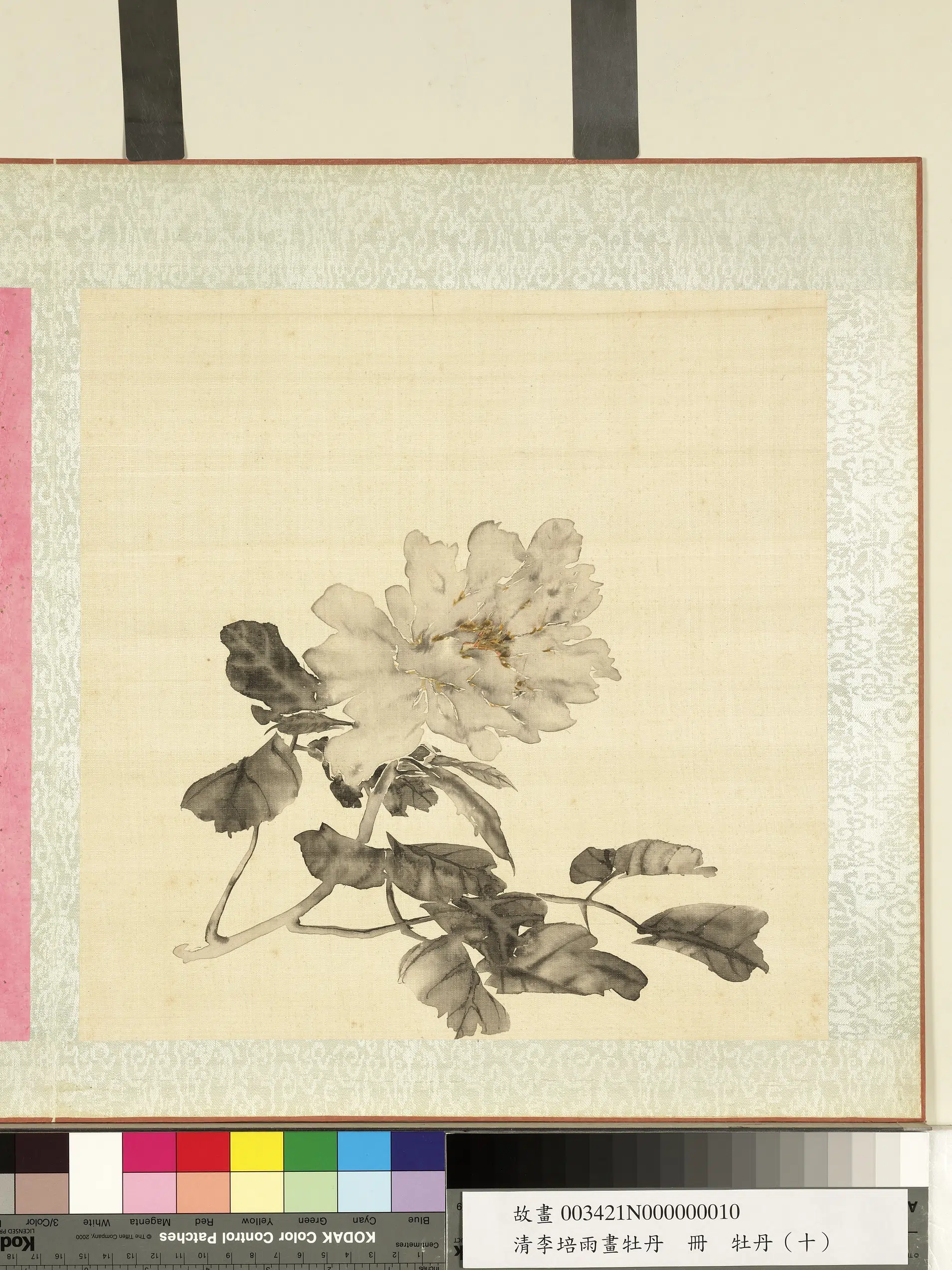 清代【李培雨】《画牡丹册》 第11张 清代【李培雨】《画牡丹册》 第11张