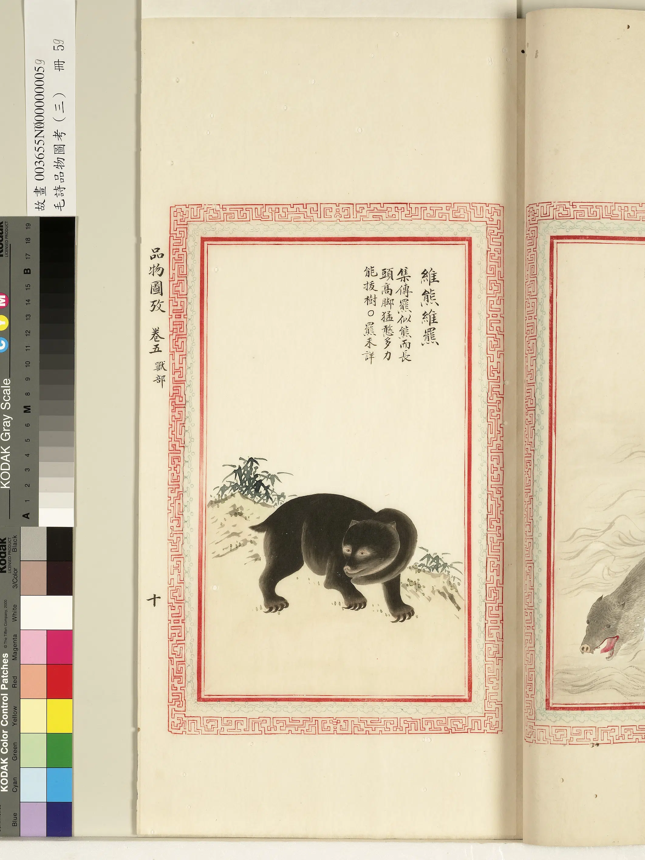 清朝【佚名】《毛诗品物图考（三）册-维熊维罴-1》 第1张