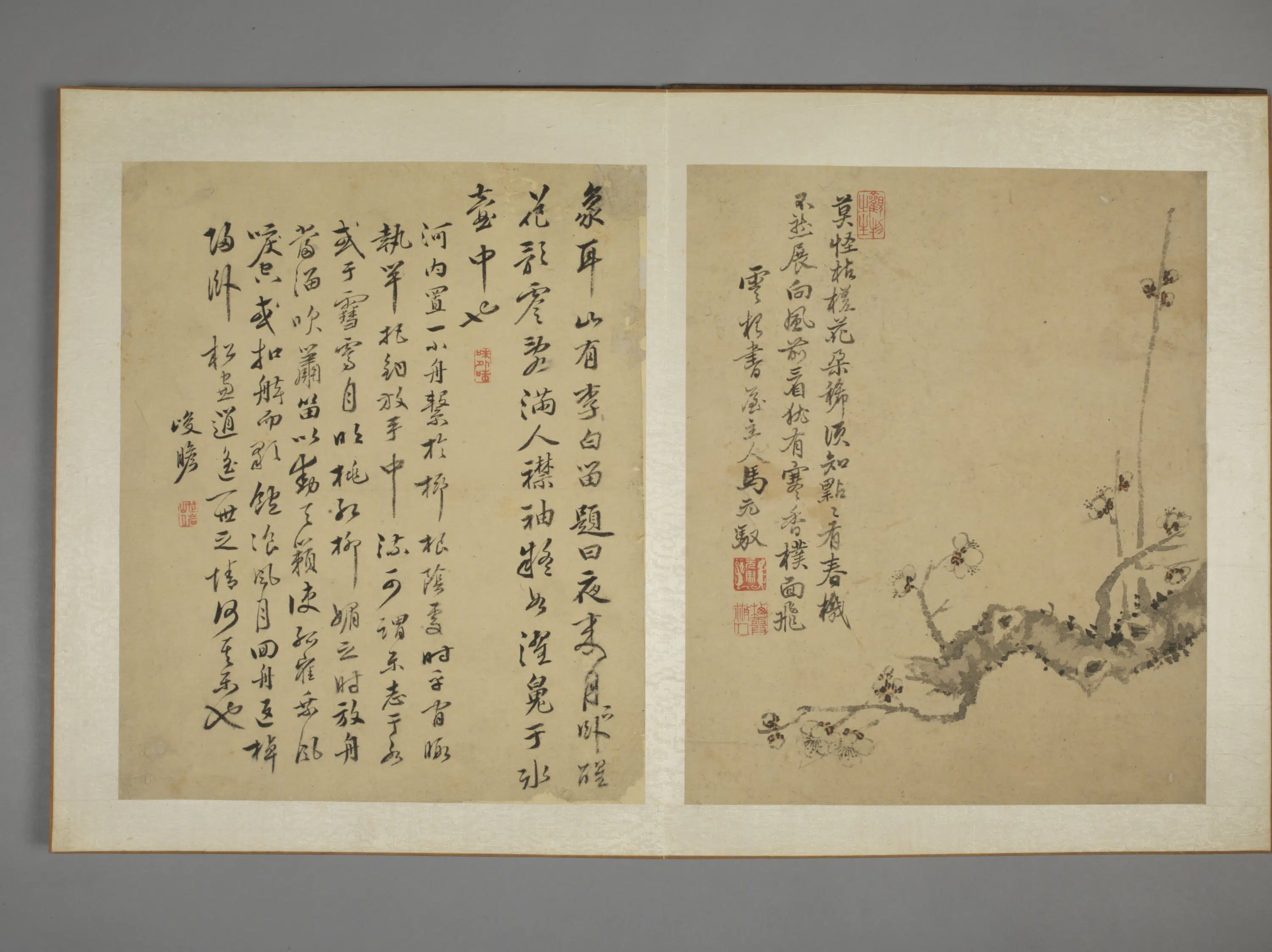 清代【马元驭】《花鸟图册》 第11张