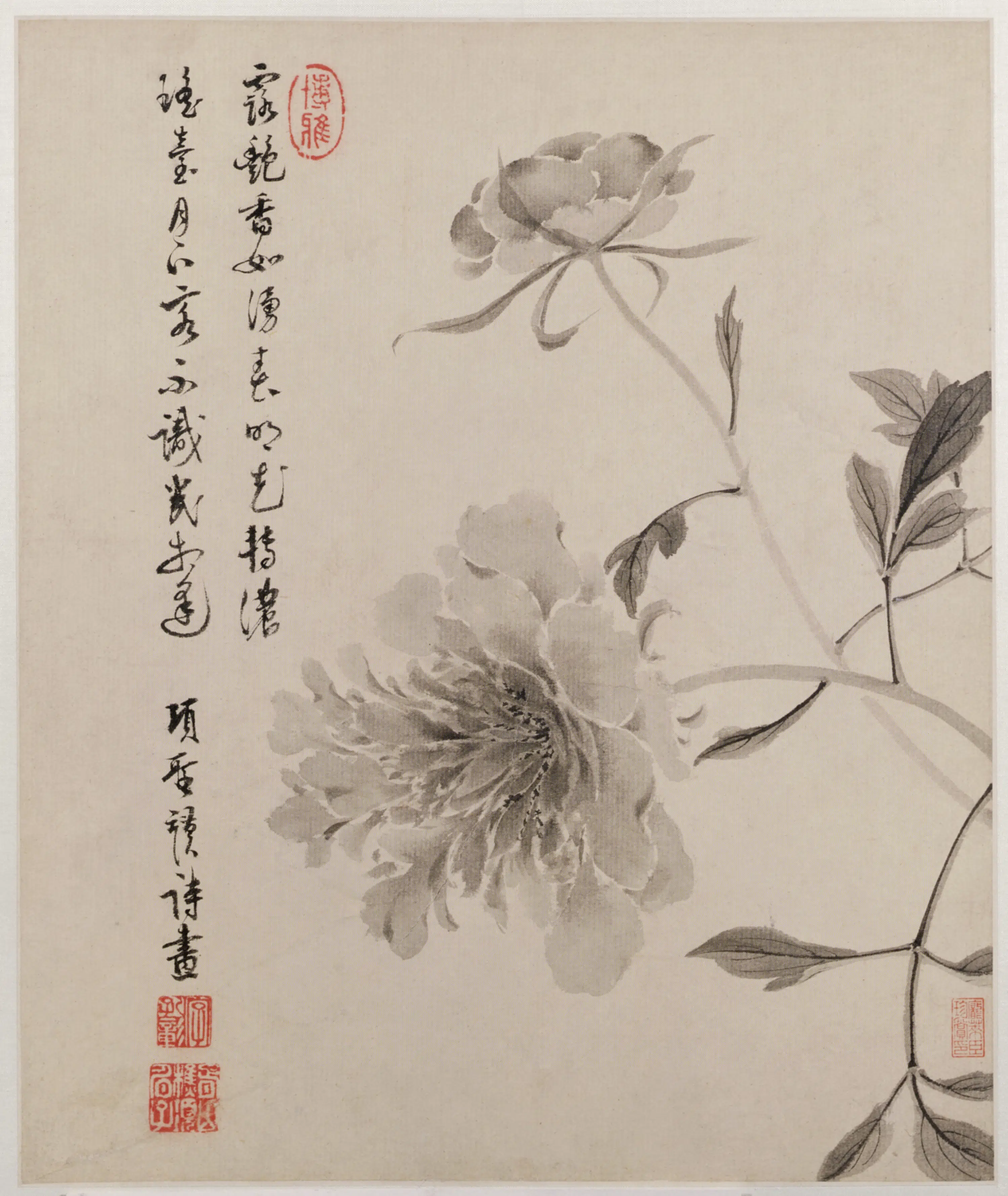 明朝【项圣谟】《花卉草虫册（8开）》 第8张