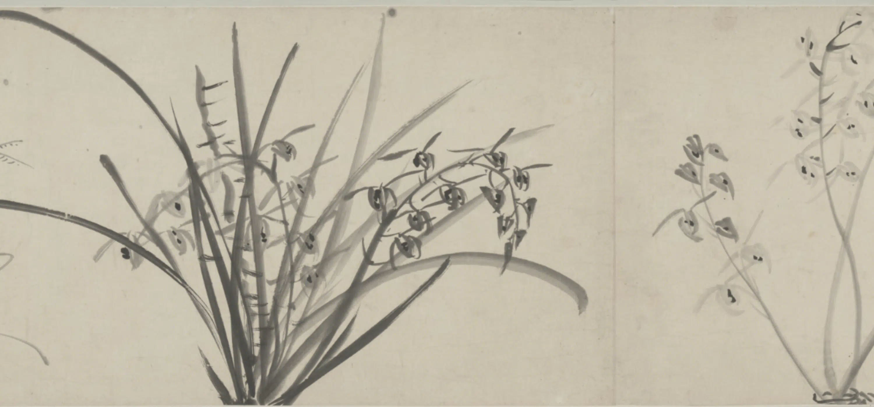 明朝【王铎】《墨花卷》 第3张