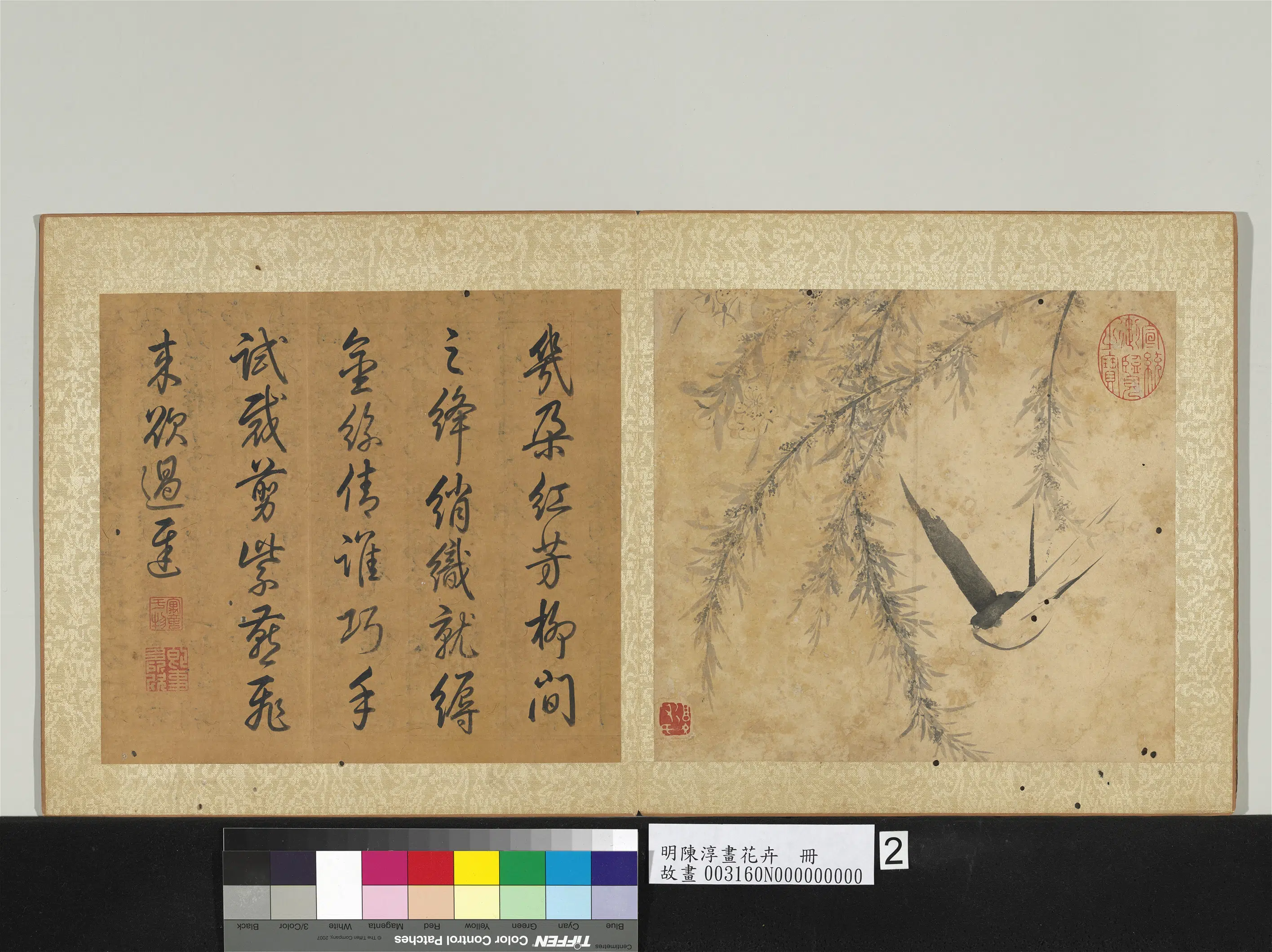 明朝【陈淳（道复）】《画花卉册-桃花》 第1张