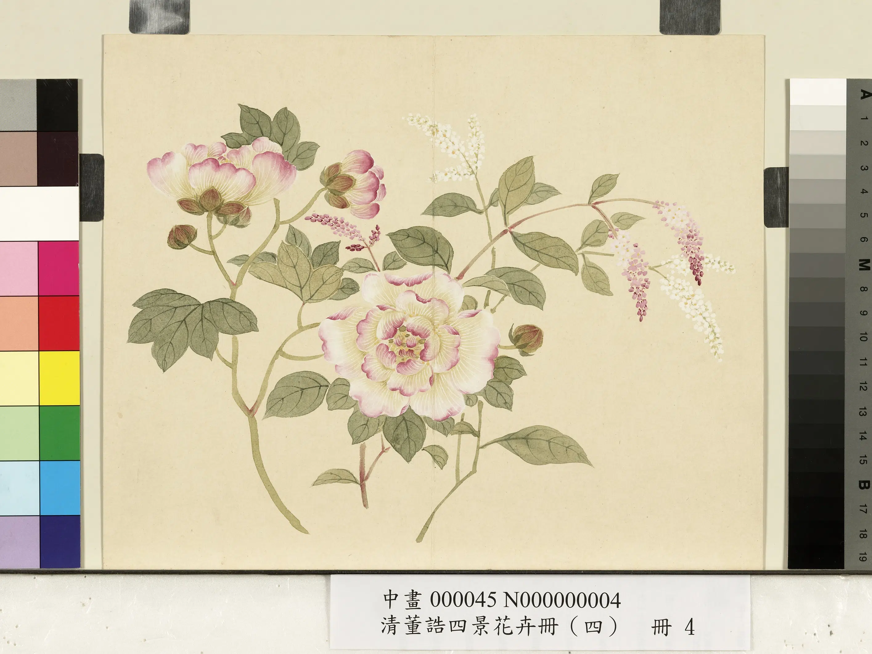 清代【董诰】《四景花卉(四)册-冬景花卉之四》 第1张 清代【董诰】《四景花卉(四)册-冬景花卉之四》 第1张