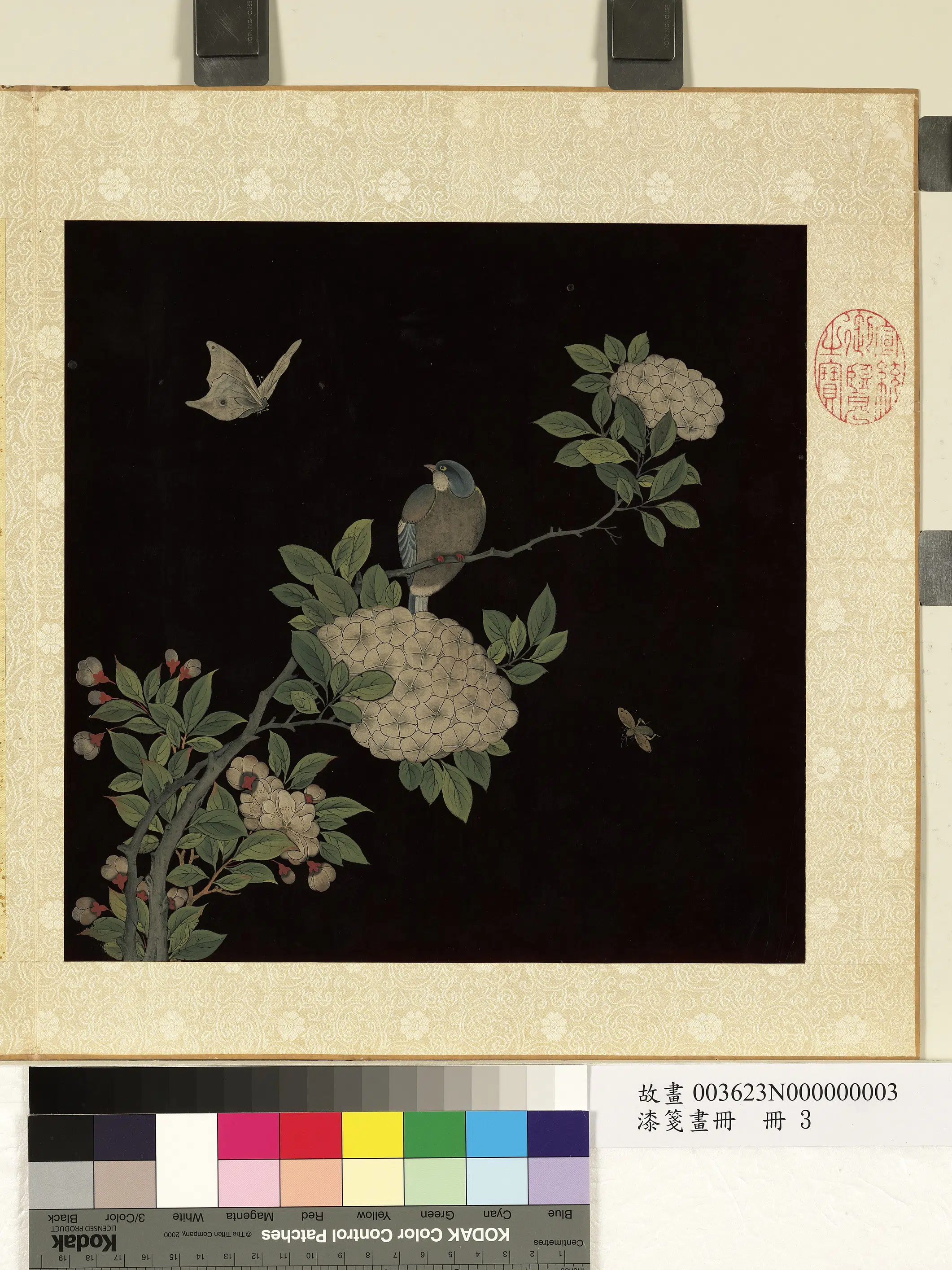 清朝【佚名】《漆笺画册-绣球花蝶及鸟》