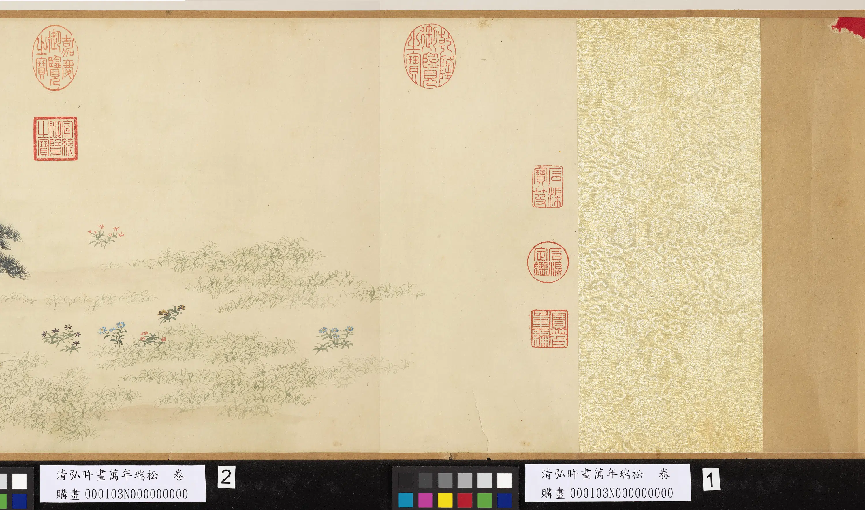 清代【爱新觉罗弘旿】《画万年瑞松图卷》 第3张 清代【爱新觉罗弘旿】《画万年瑞松图卷》 第3张