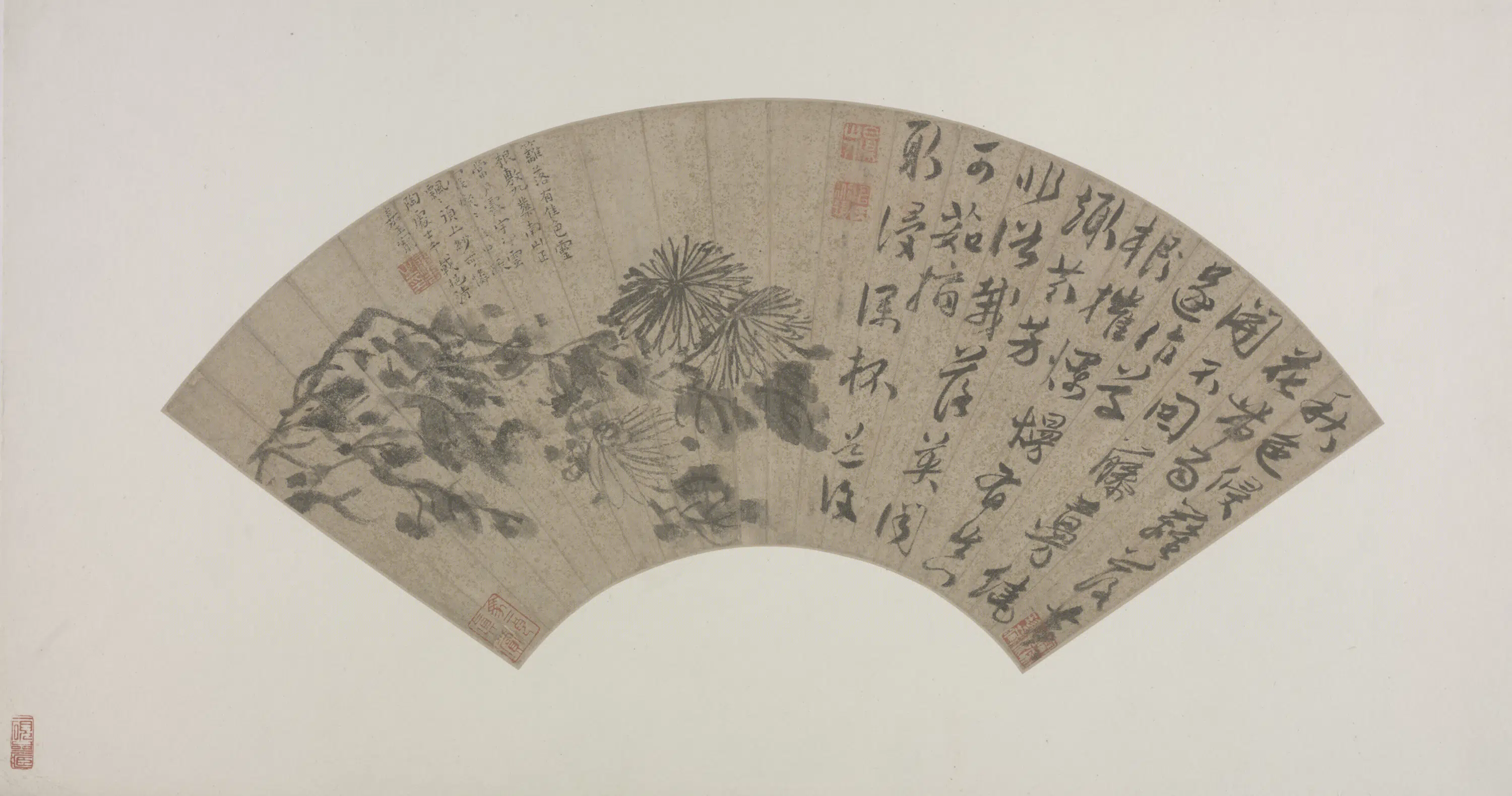 明朝【陈淳（道复）】《墨菊扇页》