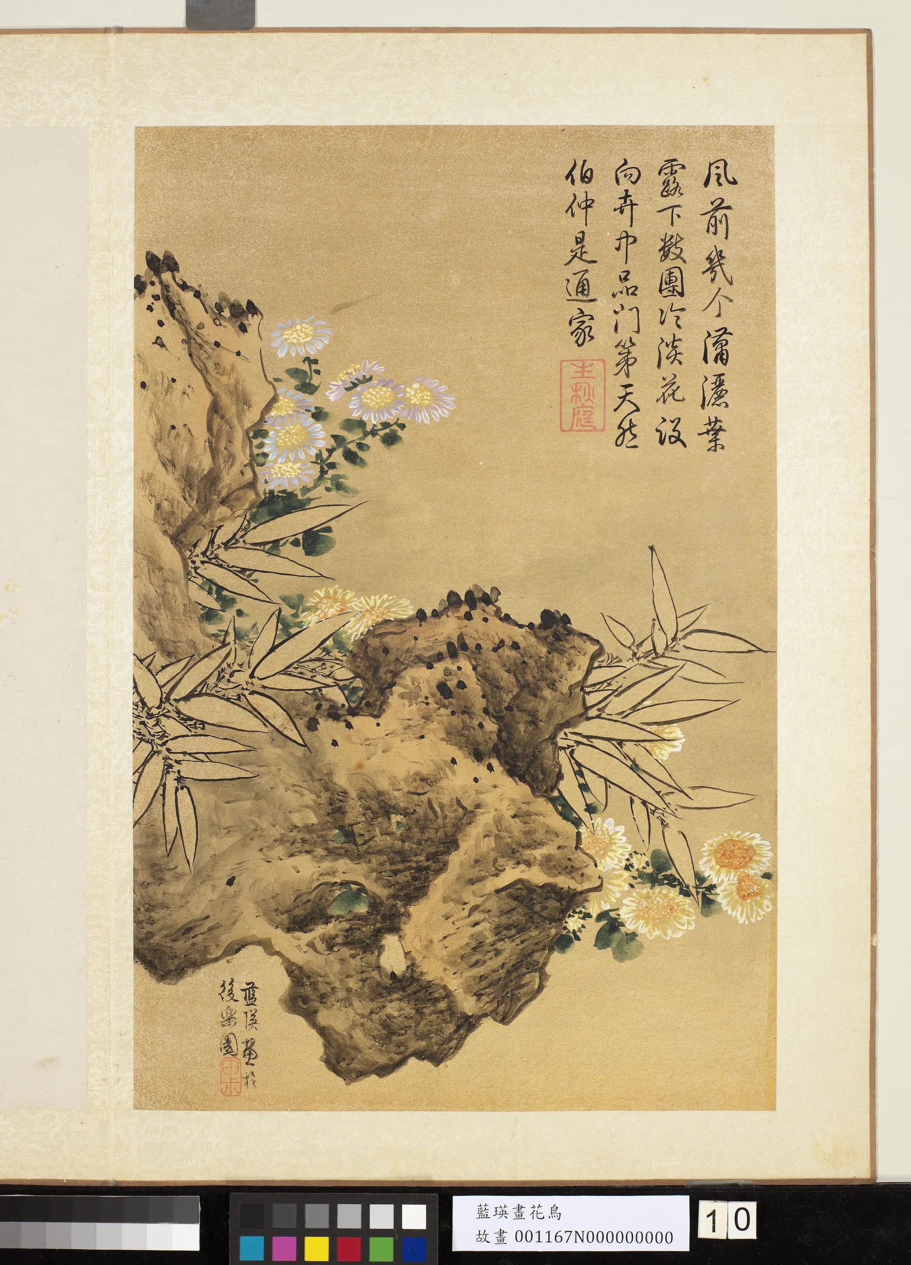 明朝【蓝瑛】《画花鸟册-秋岩竹菊》