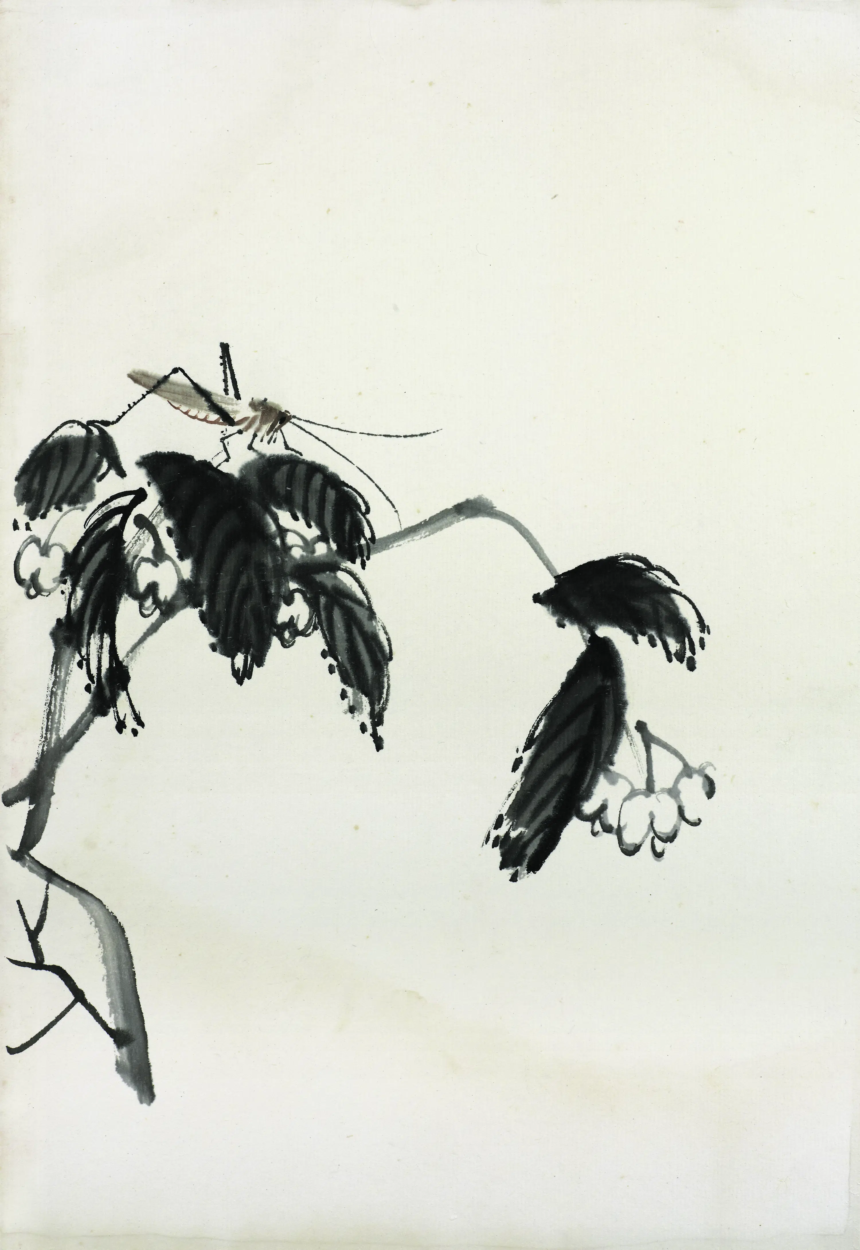 近现代【齐白石】《花卉虫草图册83开》 第33张 近现代【齐白石】《花卉虫草图册83开》 第33张