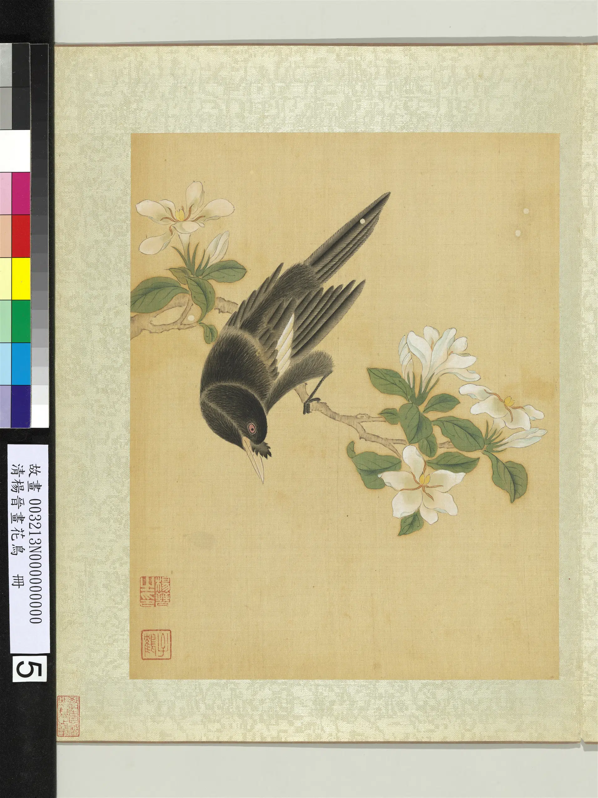 清代【杨晋】《画花鸟册-栀子花鸜鹆》