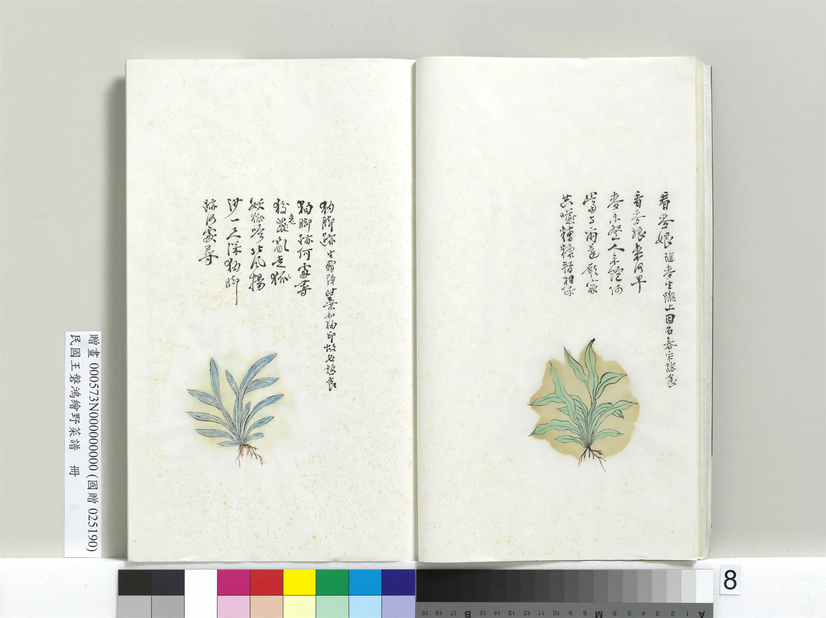 《绘王盘野菜谱册-狗脚迹》