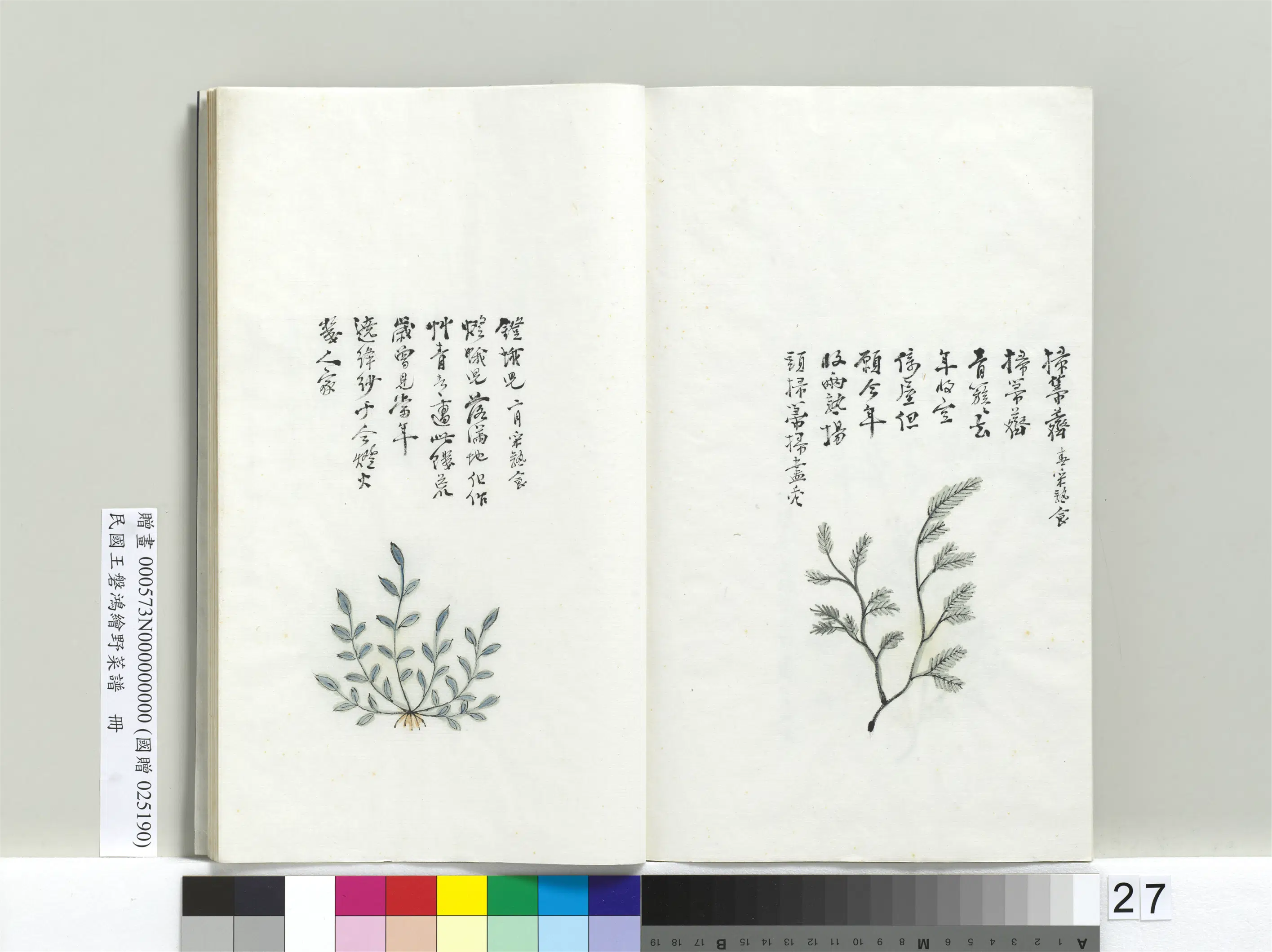 《绘王盘野菜谱册-灯蛾儿》