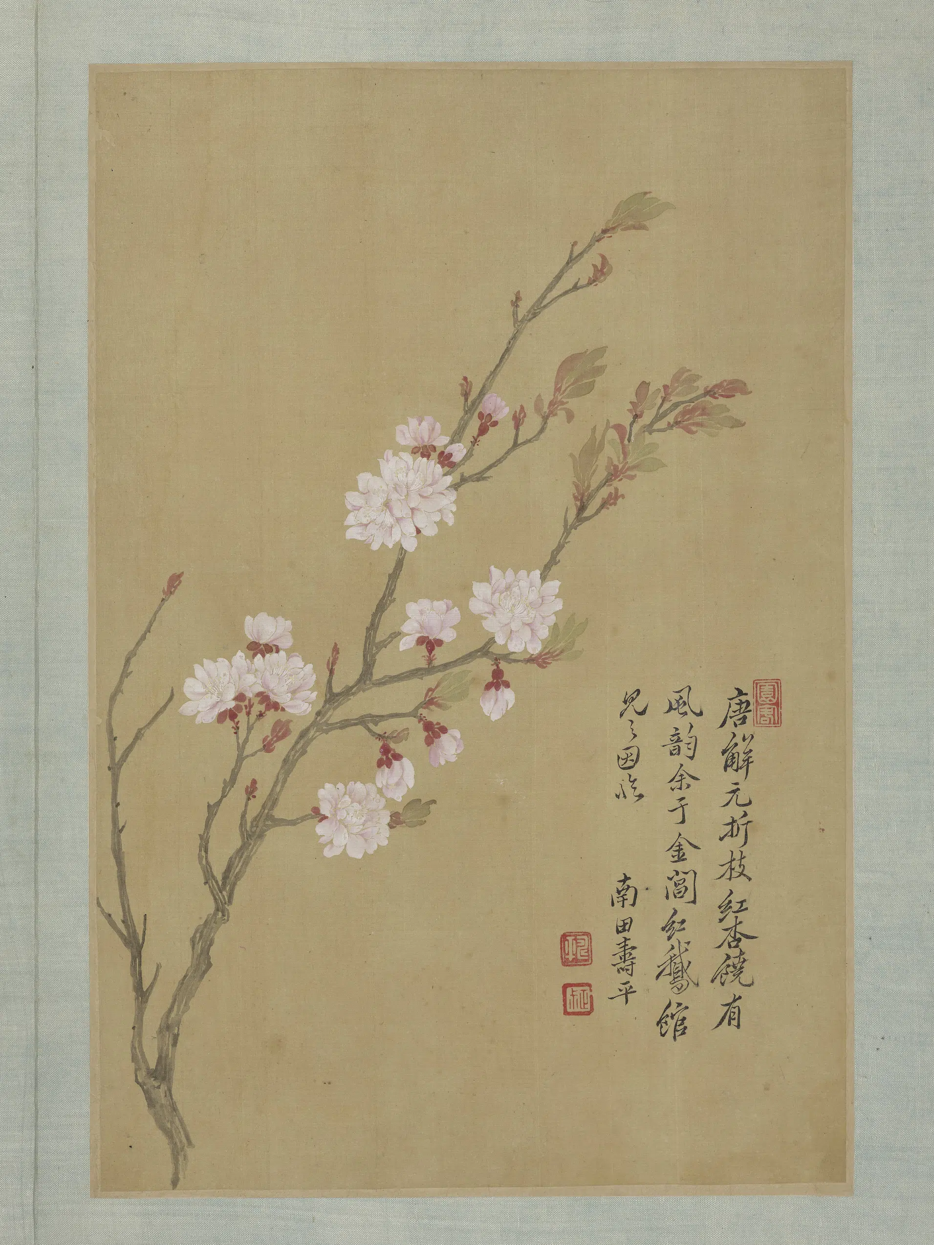 清代【恽寿平】《画花卉册-杏花》