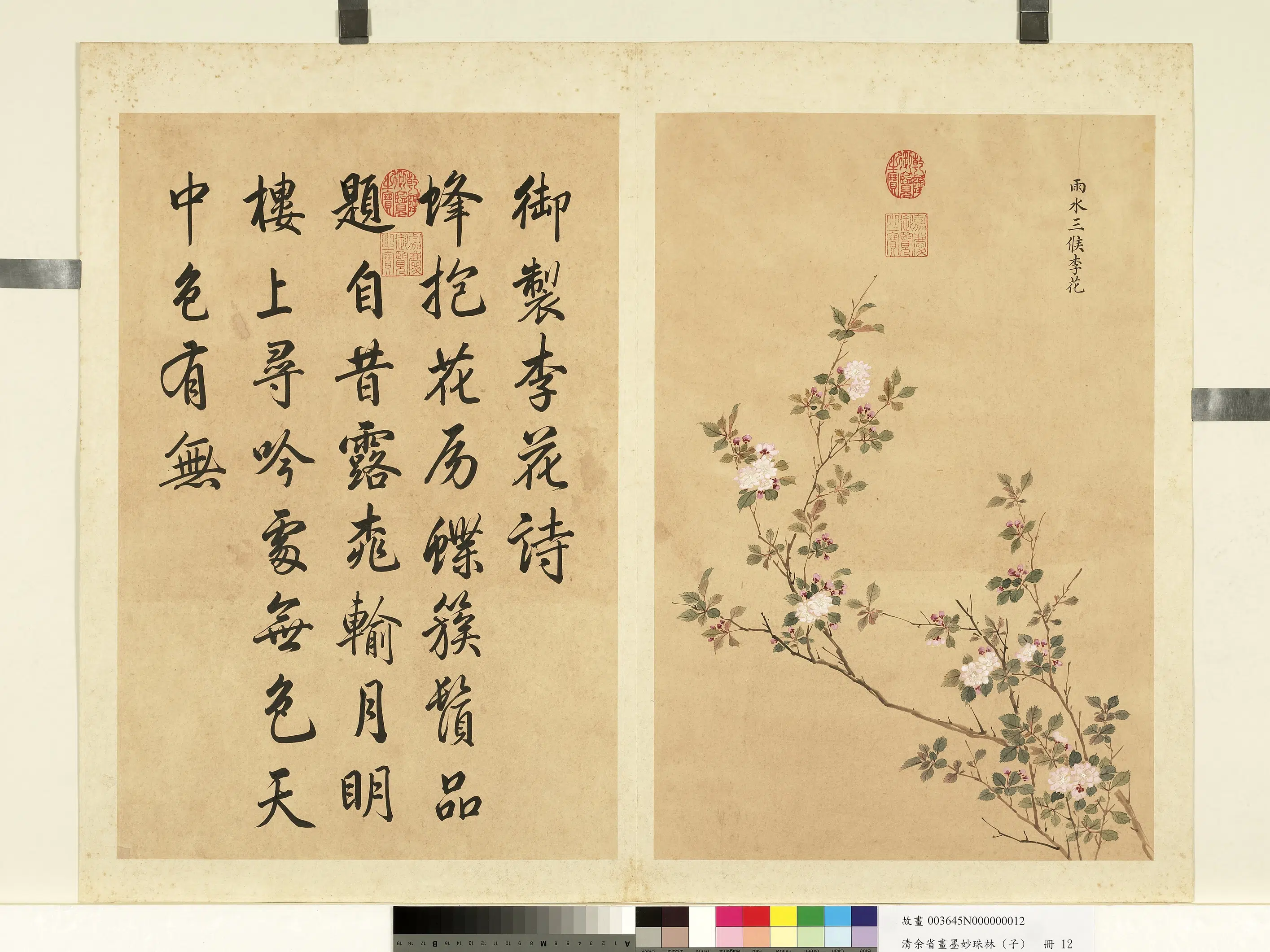 清代【余省】《画墨妙珠林（子）册》 第23张