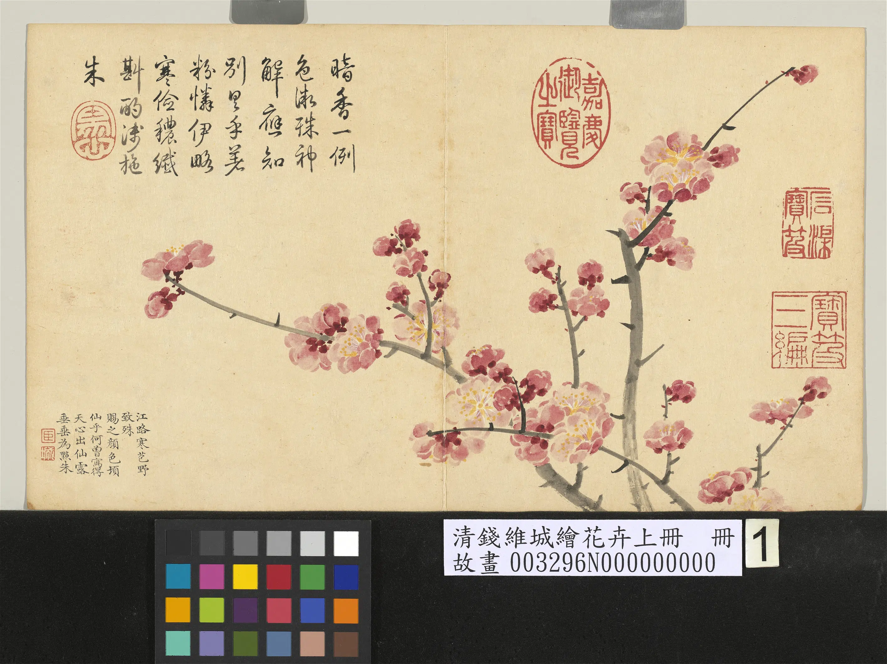 清代【钱维城】《绘花卉（上）册》 第11张
