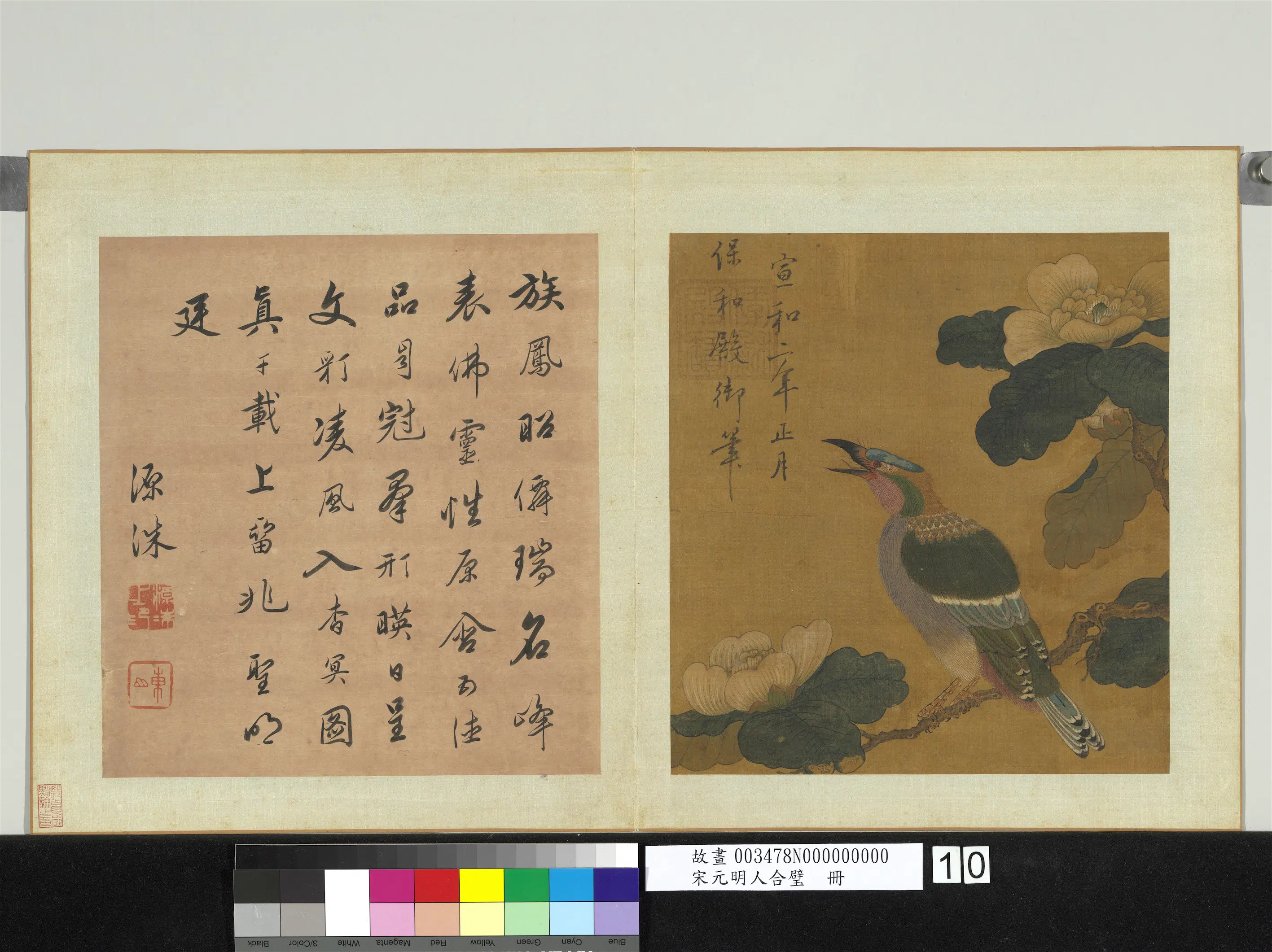 北宋【宋徽宗赵佶】《茶花绶鸟图-宋元明人合璧册》 第1张 北宋【宋徽宗赵佶】《茶花绶鸟图-宋元明人合璧册》 第1张
