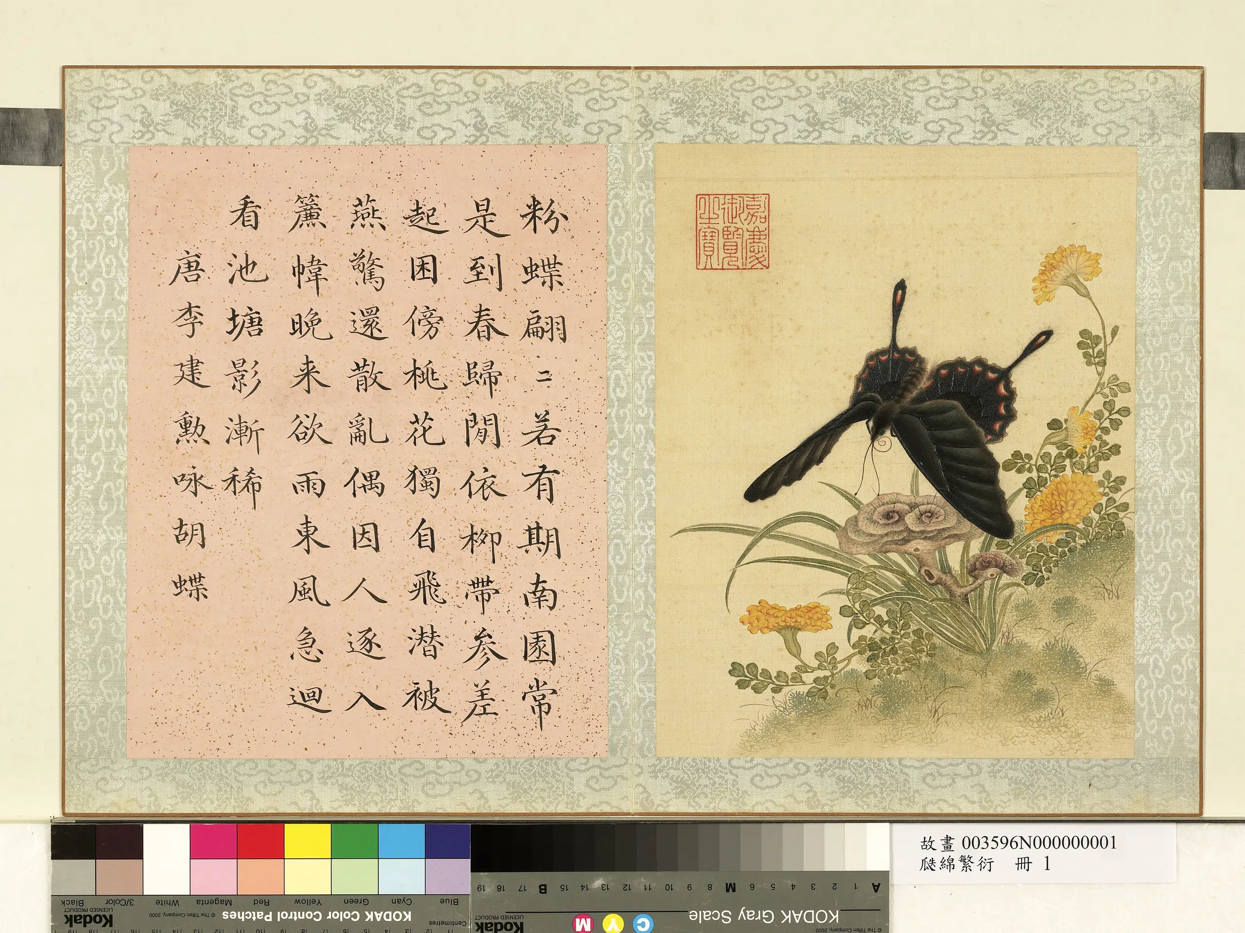 《瓞绵繁衍册》 第7张