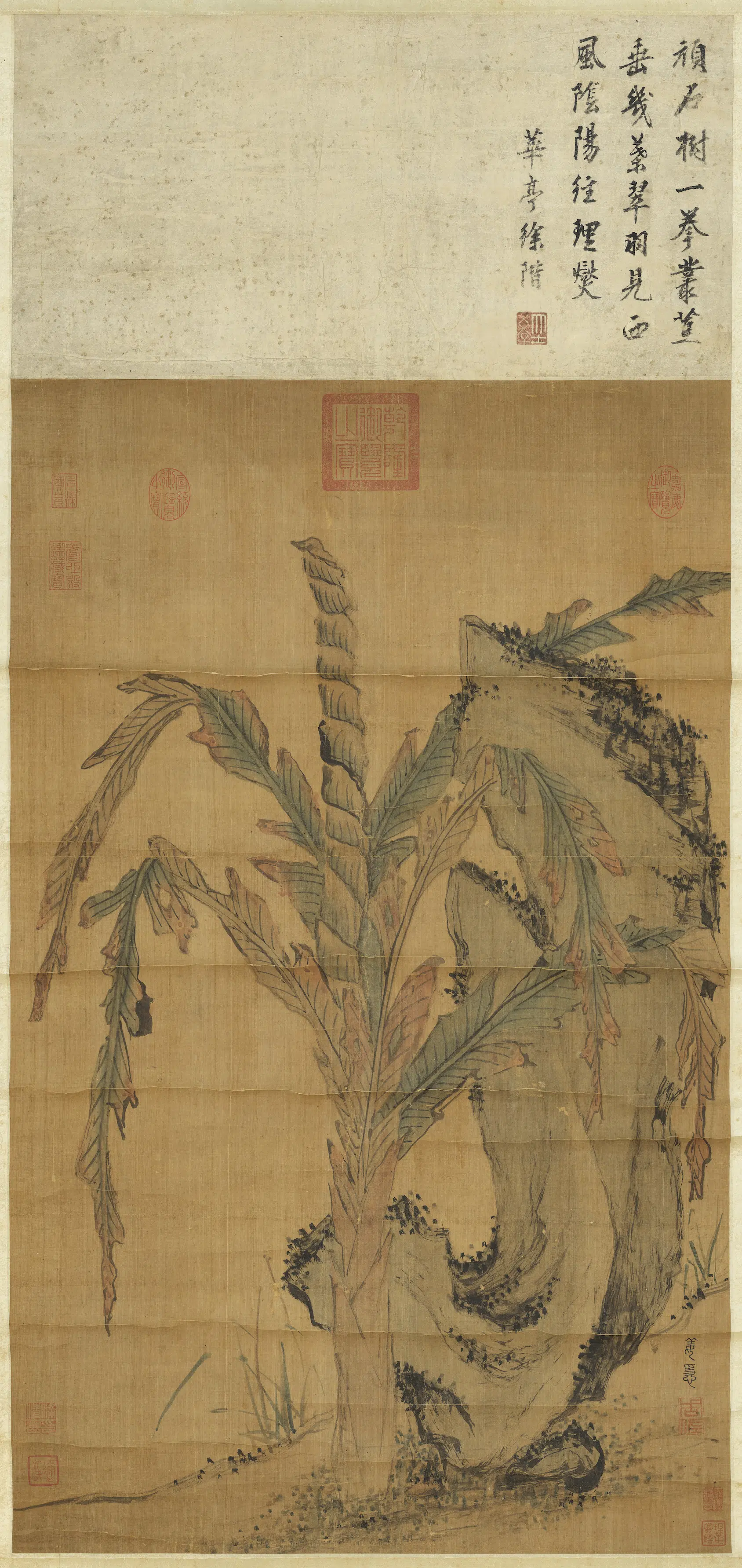 明朝【姜隐】《文石甘蕉图轴》