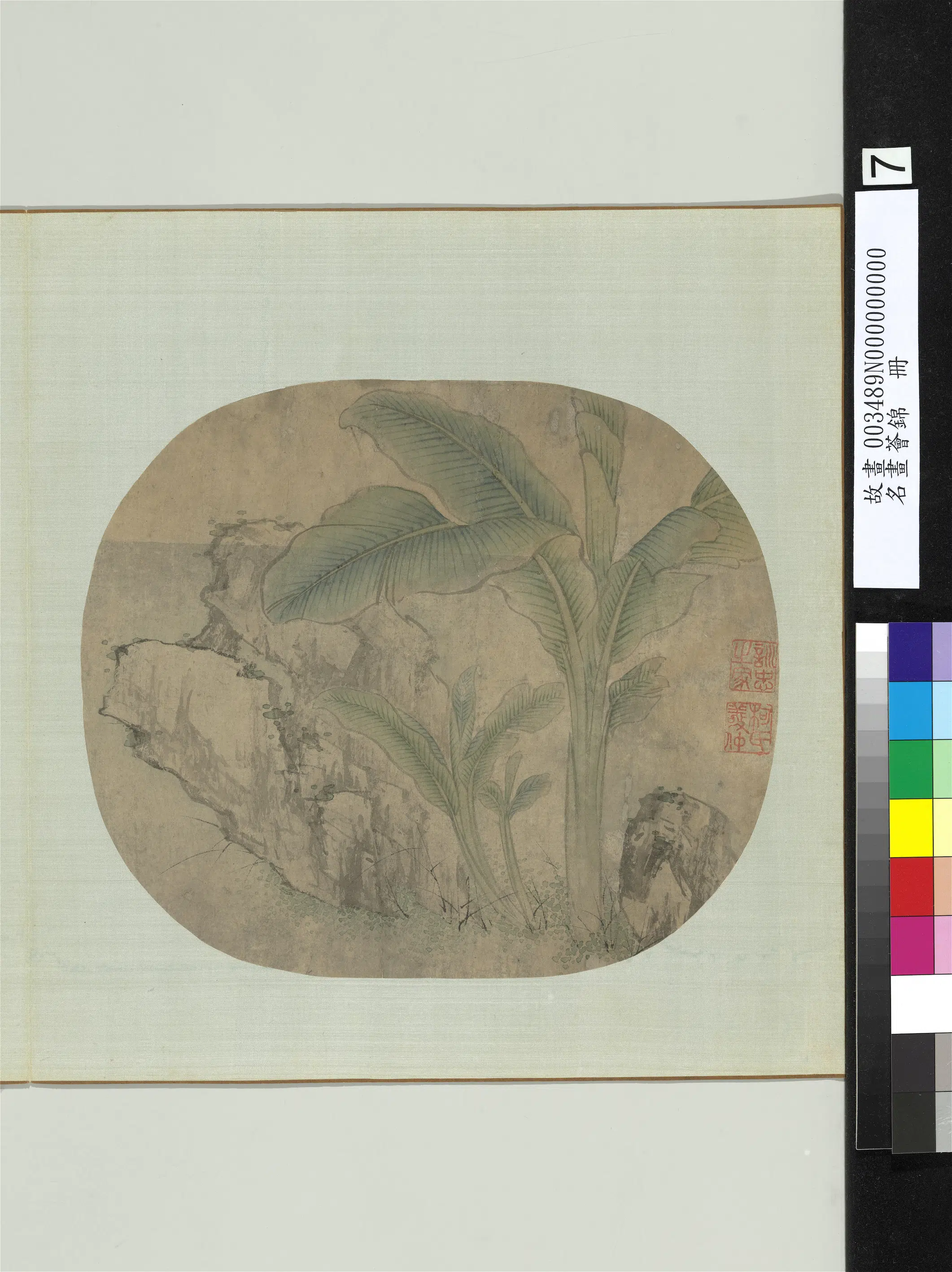 元朝【柯九思】《芭蕉奇石图_名画荟锦册》