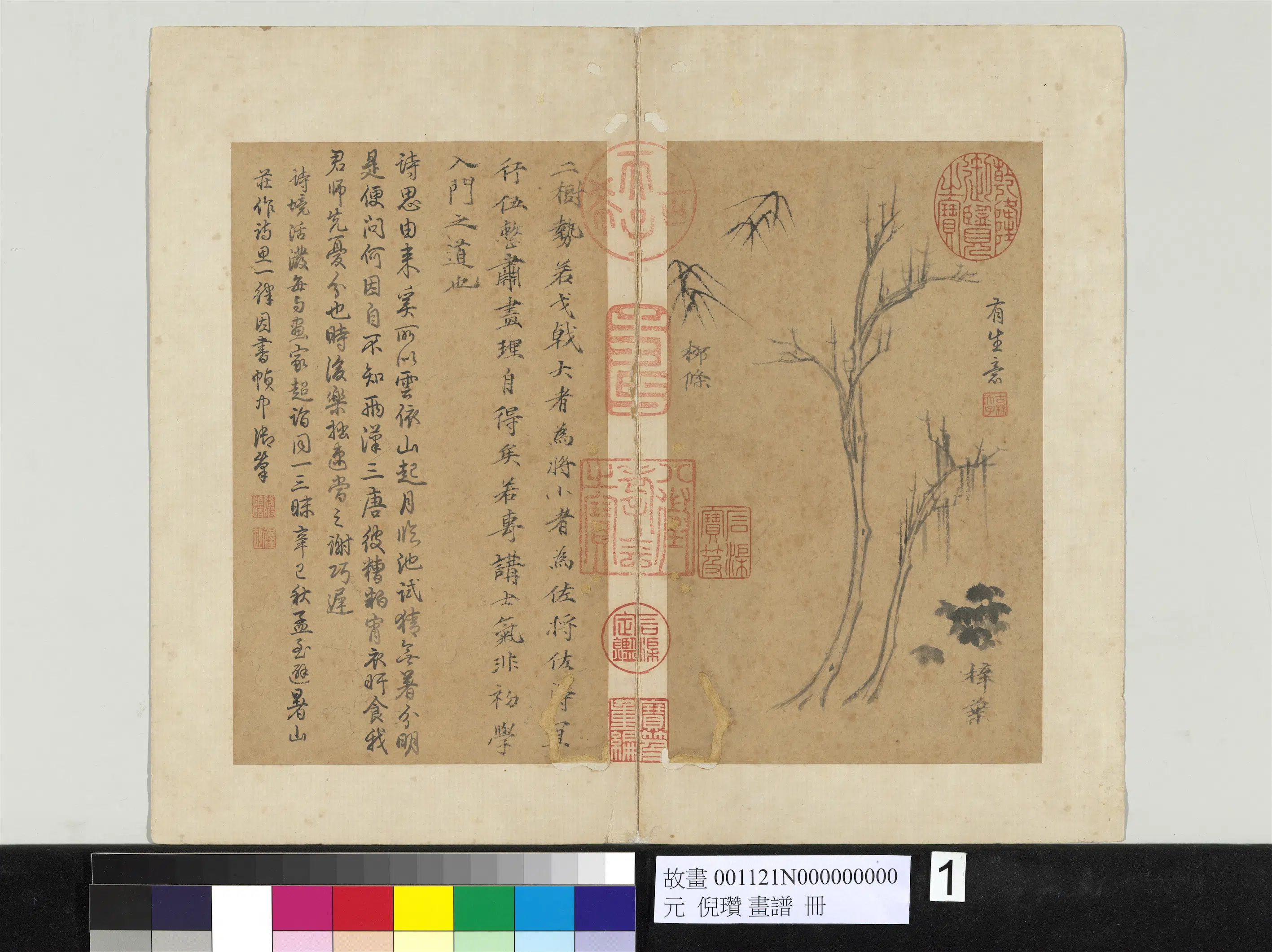 元朝【倪瓒】《画谱册-柳条梓叶》