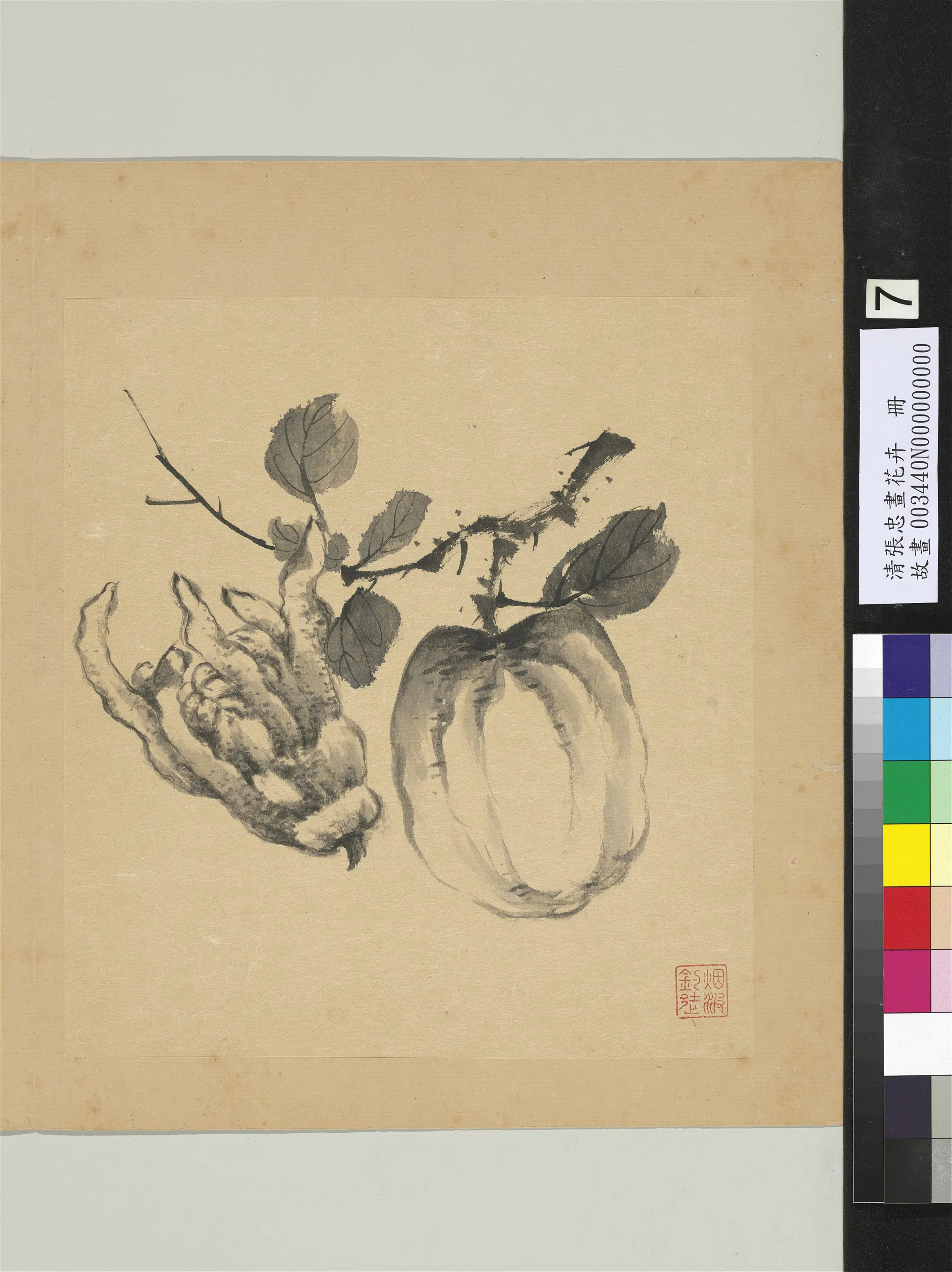 清代【张忠】《画花卉册》