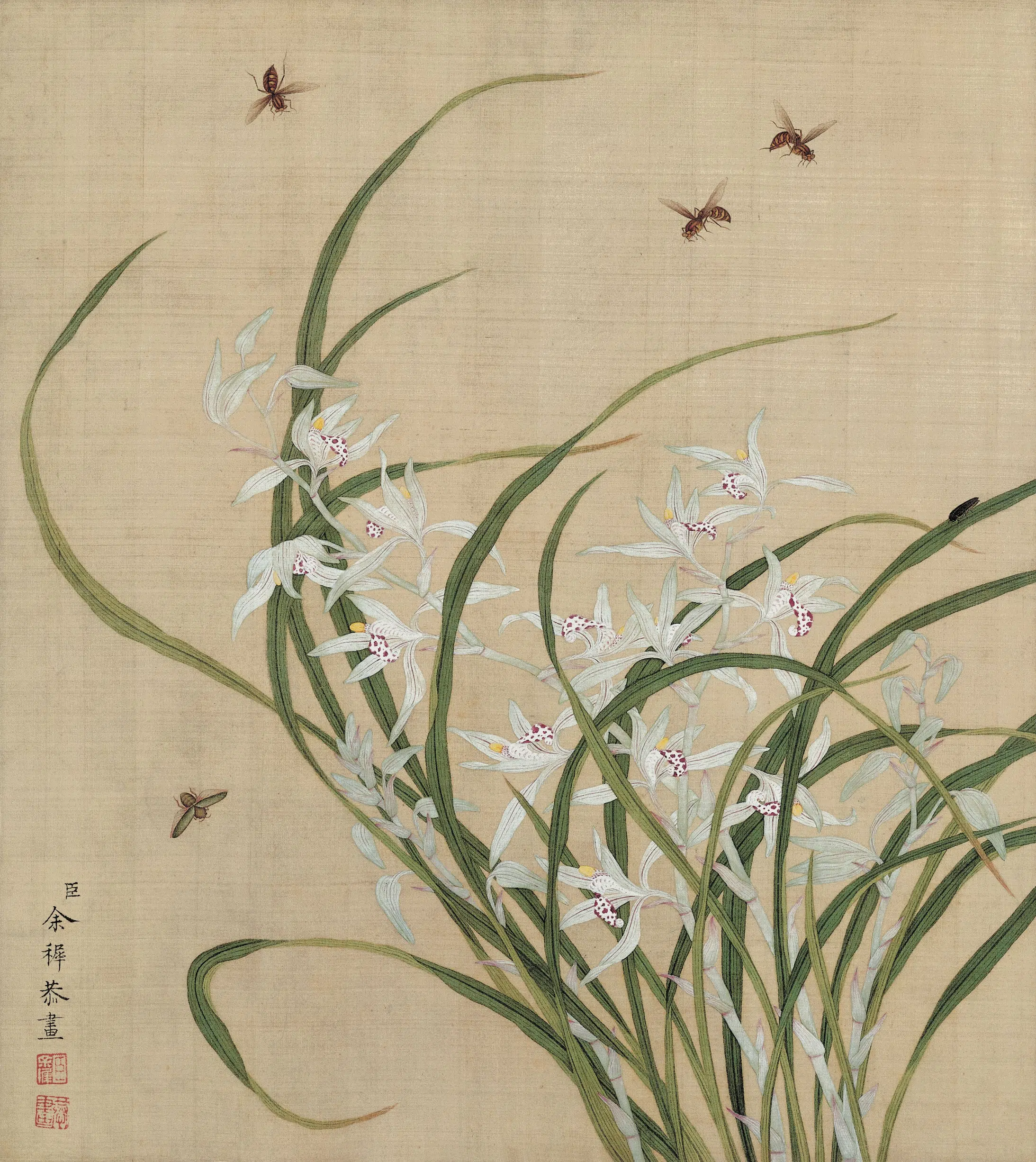 清代【余穉】《花鸟图册》 第10张