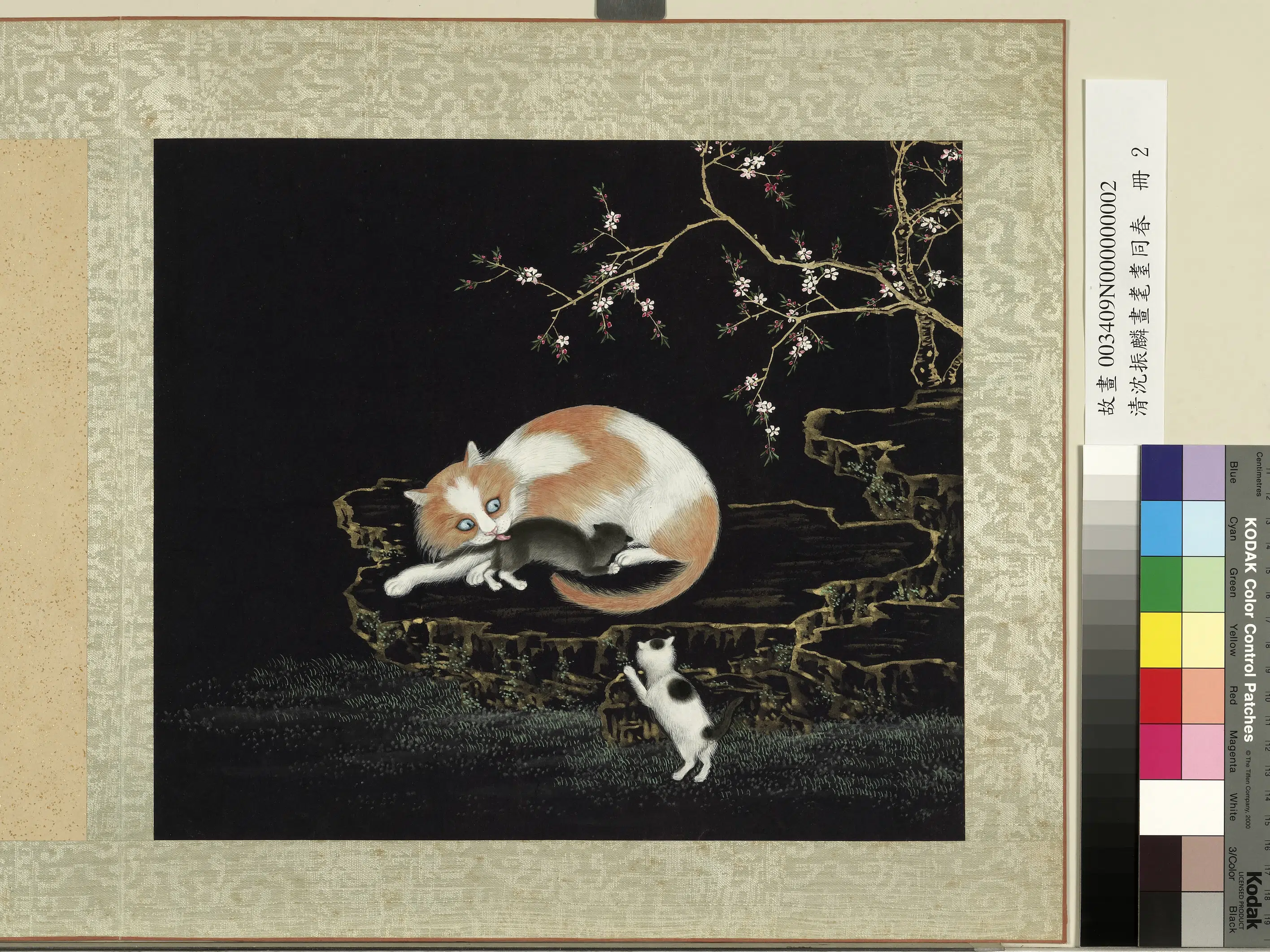 清朝【沈振麟】《画耄耋同春册-2》 第2张 清朝【沈振麟】《画耄耋同春册-2》 第2张