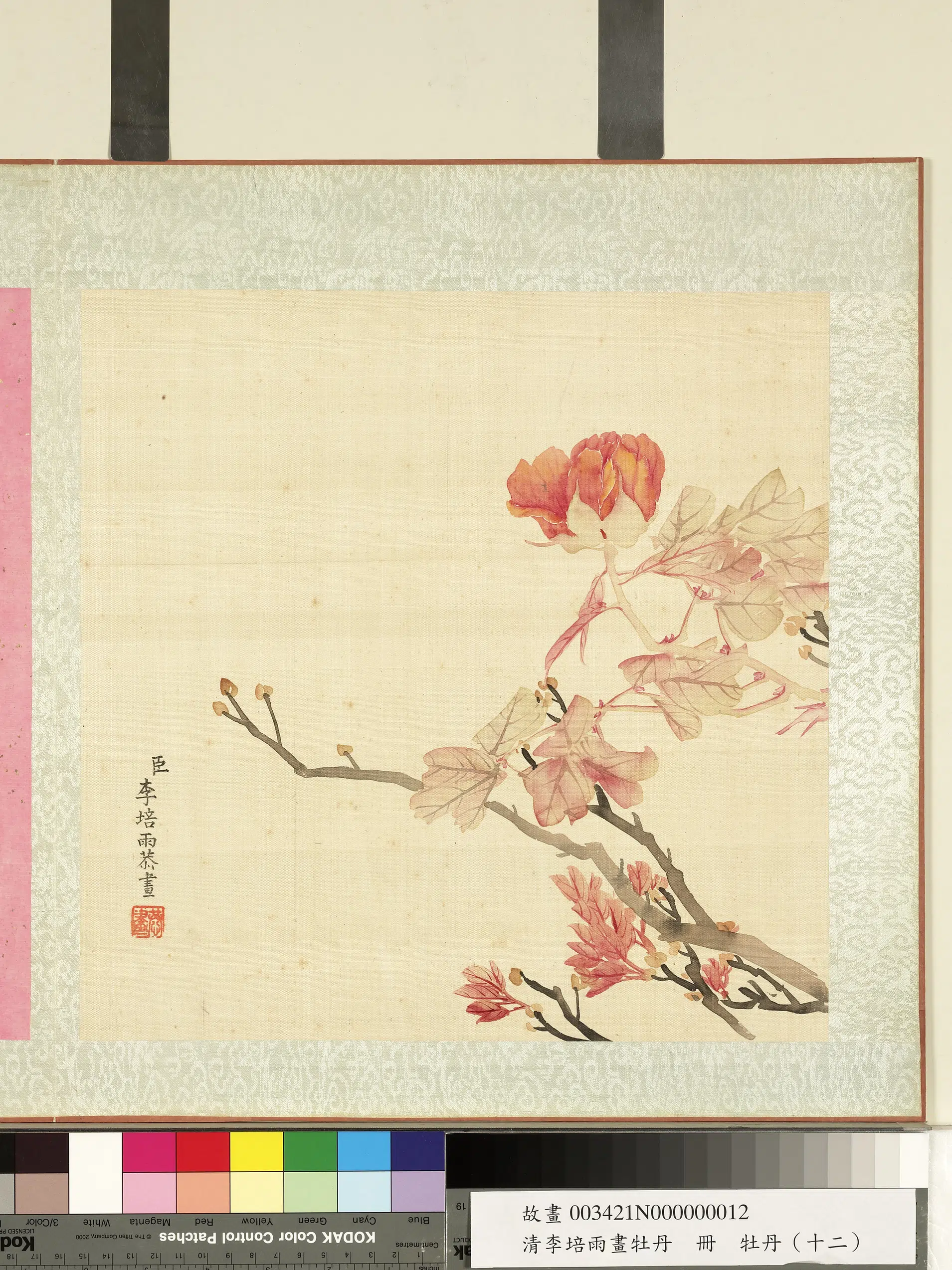 清代【李培雨】《画牡丹册-牡丹(十二)》 第1张 清代【李培雨】《画牡丹册-牡丹(十二)》 第1张