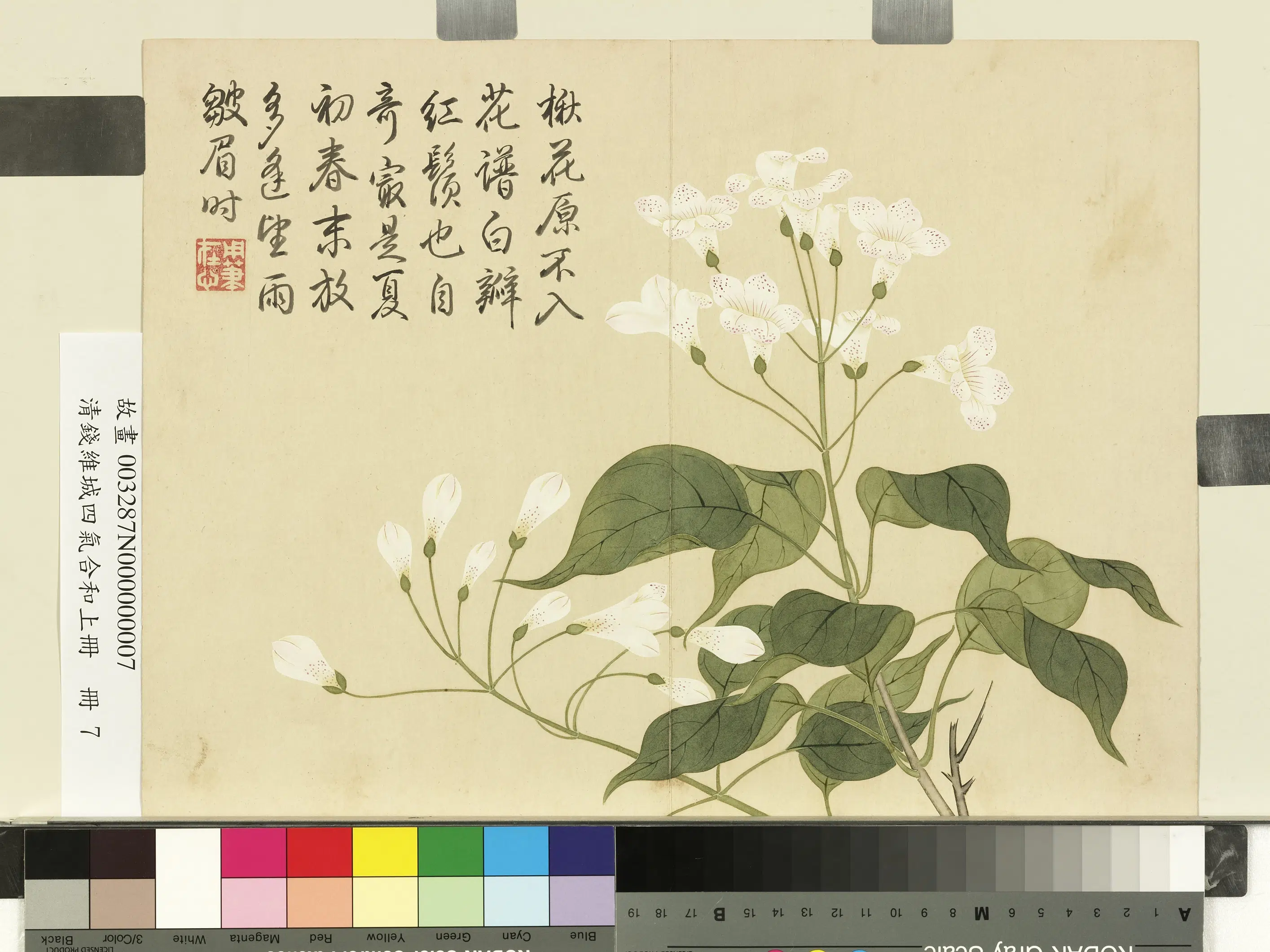 清代【钱维城】《画四气含和上册-楸花》