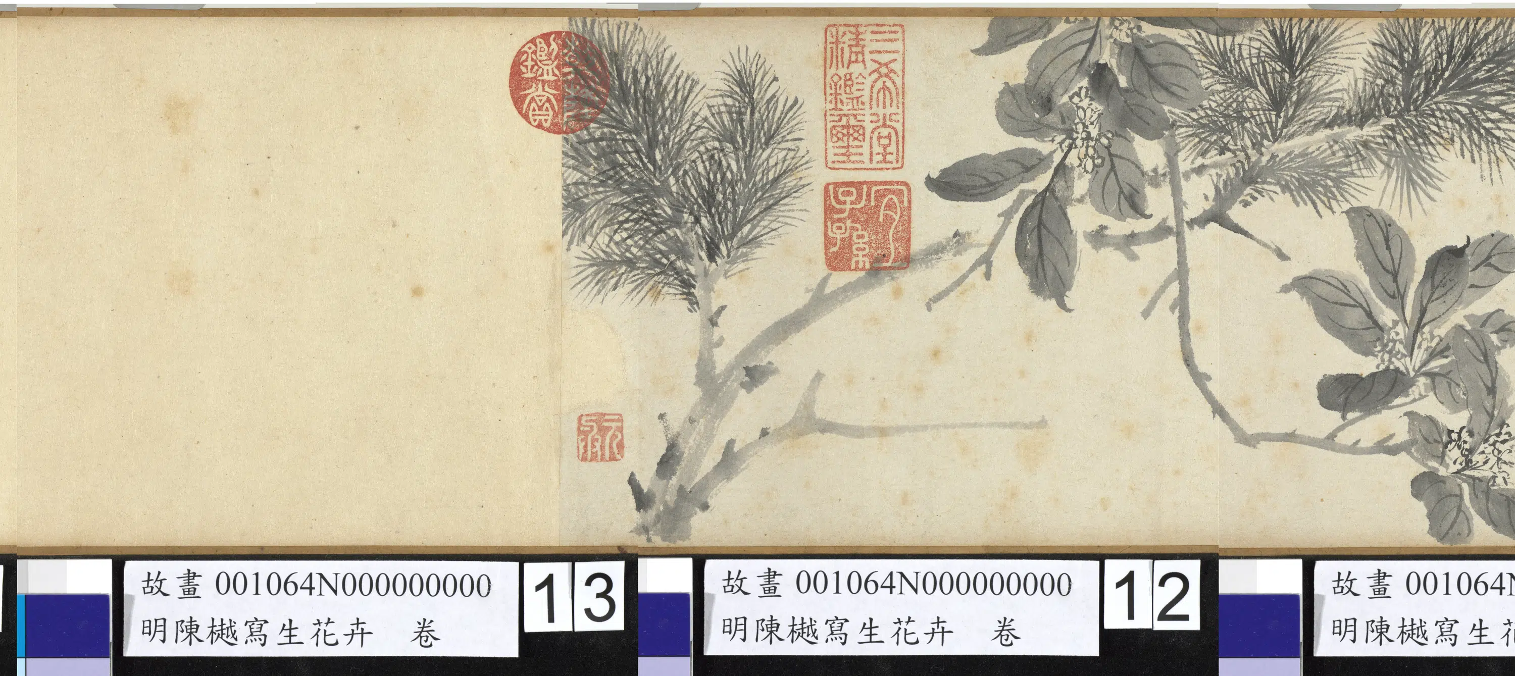 明朝【陈樾】《写生花卉卷》 第3张