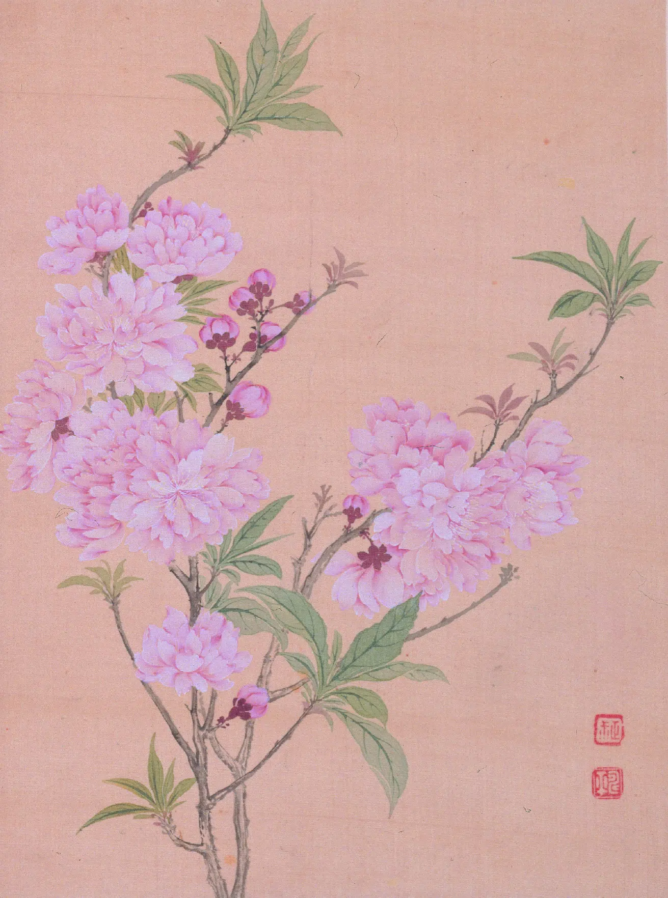 清代【恽寿平】《花卉图册》 第4张 清代【恽寿平】《花卉图册》 第4张