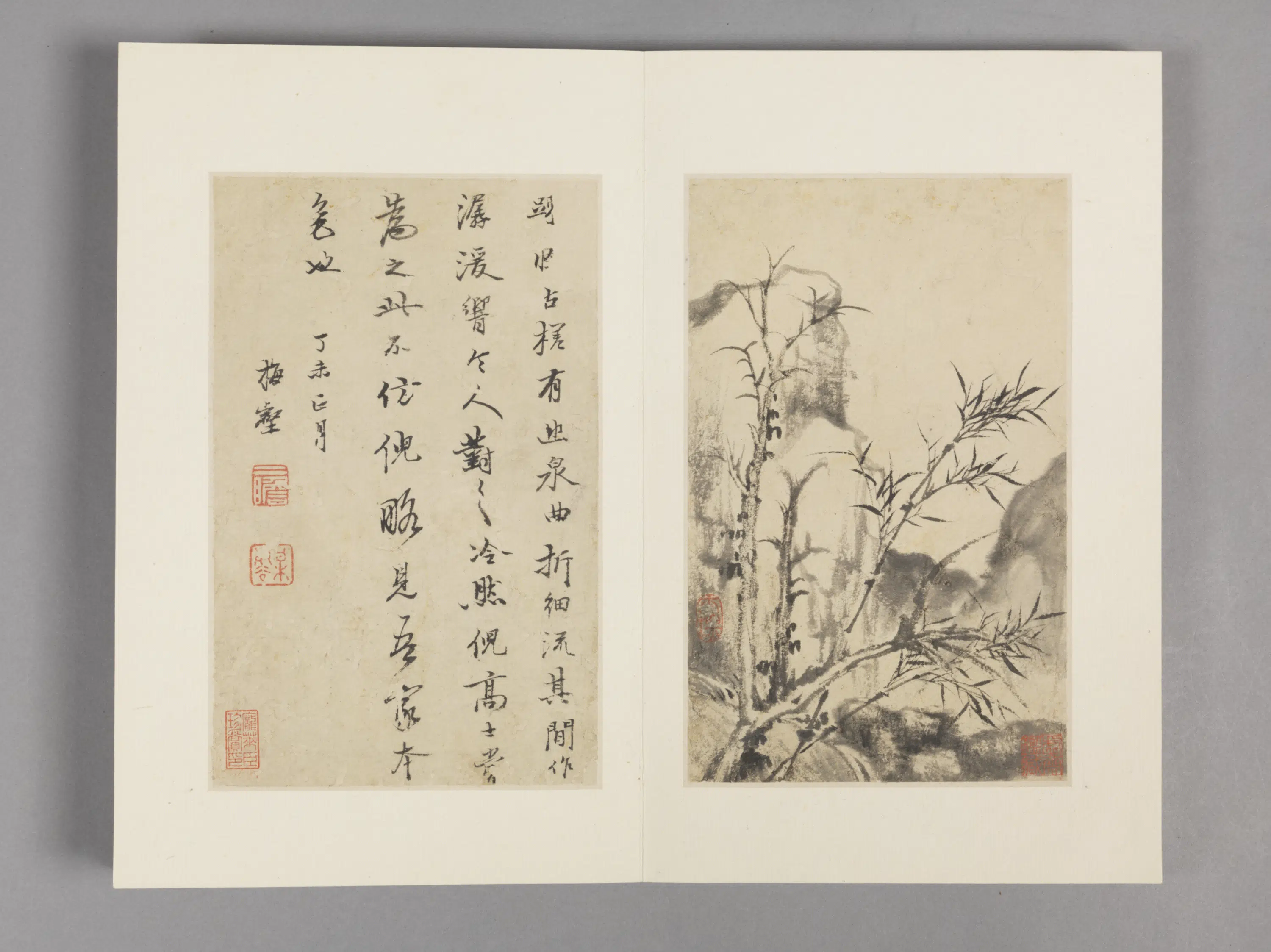 清代【查士标】《枯木竹石册（12开）》 第12张