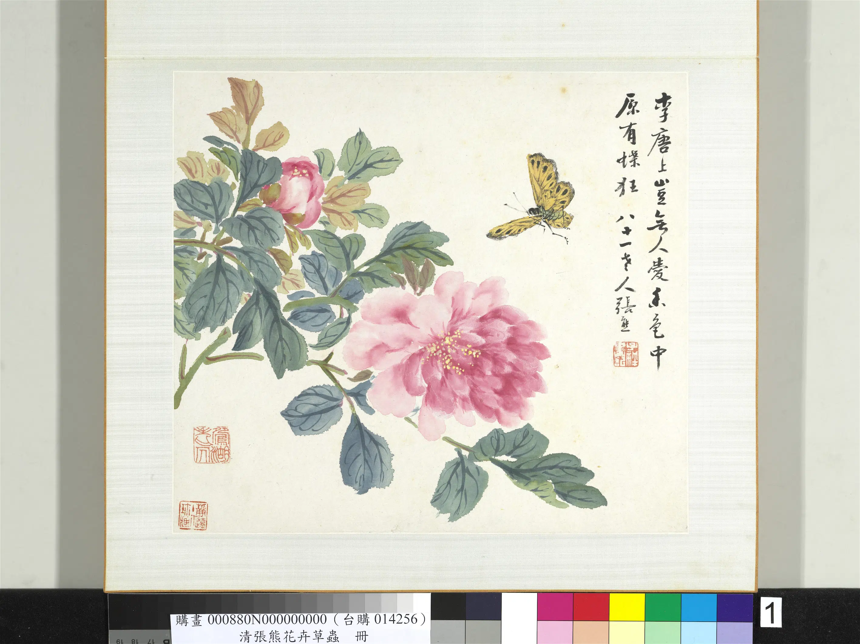 清代【张熊】《花卉草虫册-（一）》