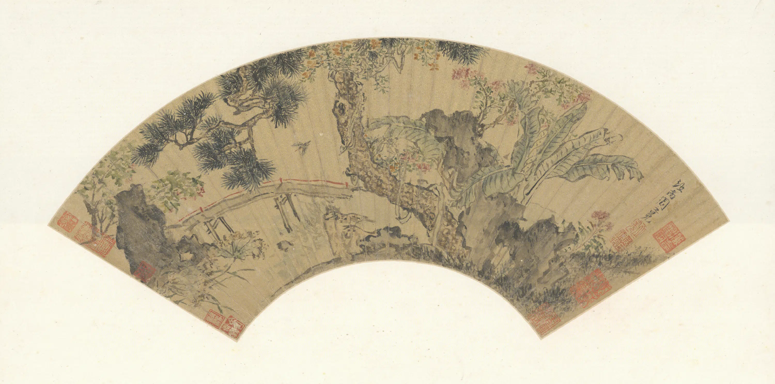 明朝【周之冕】《蕉石苍松图扇页》
