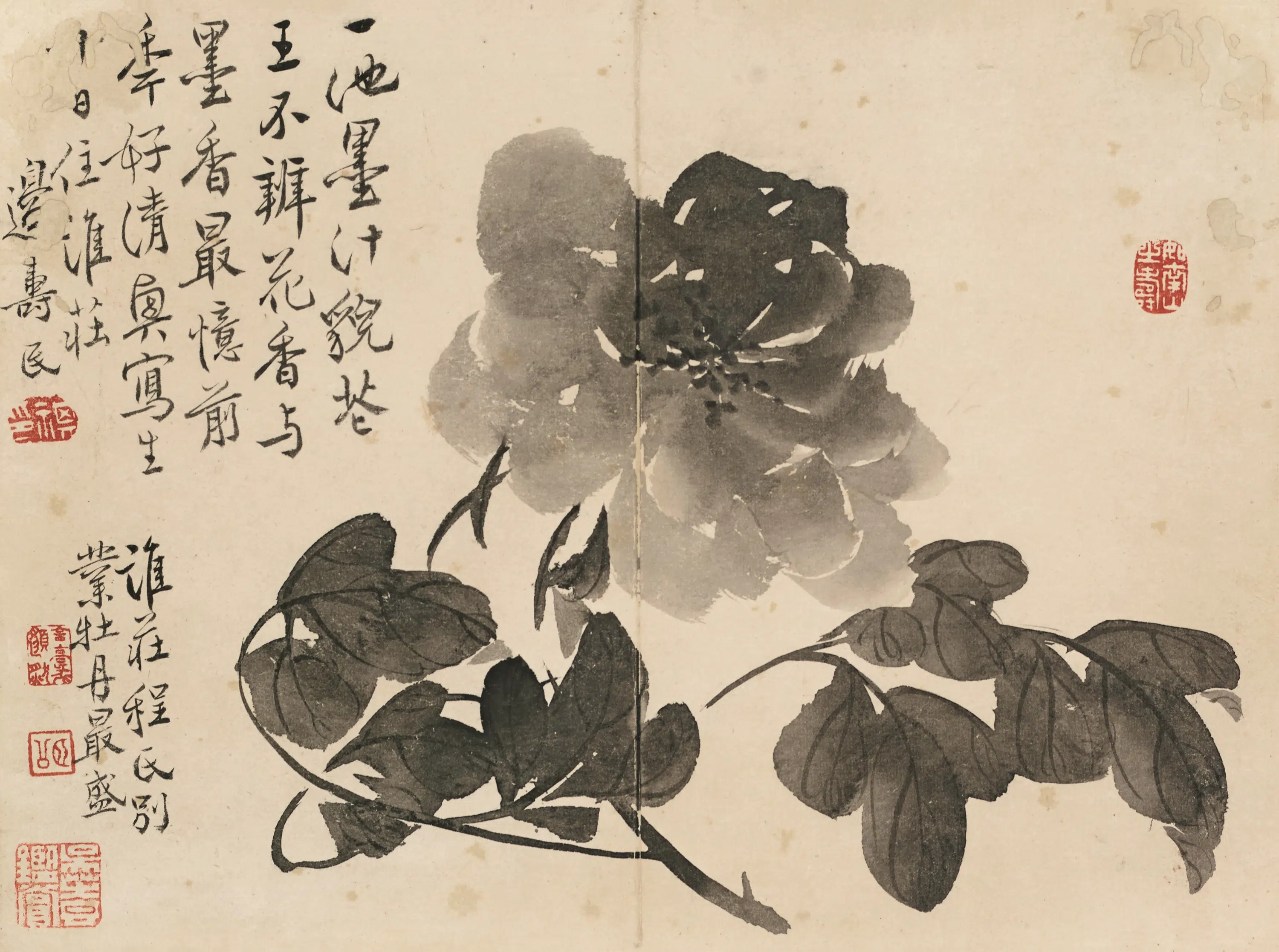 清代【边寿民】《杂画图册》 第9张