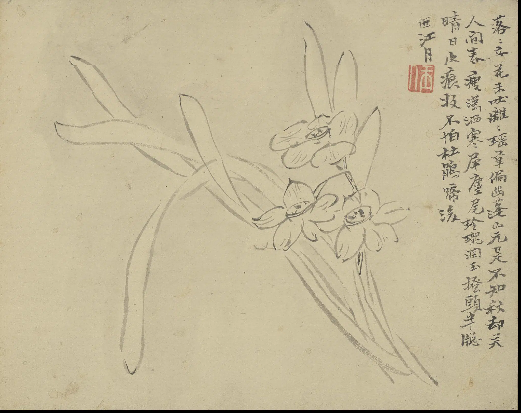 清代【陈撰】《花卉图册》 第8张