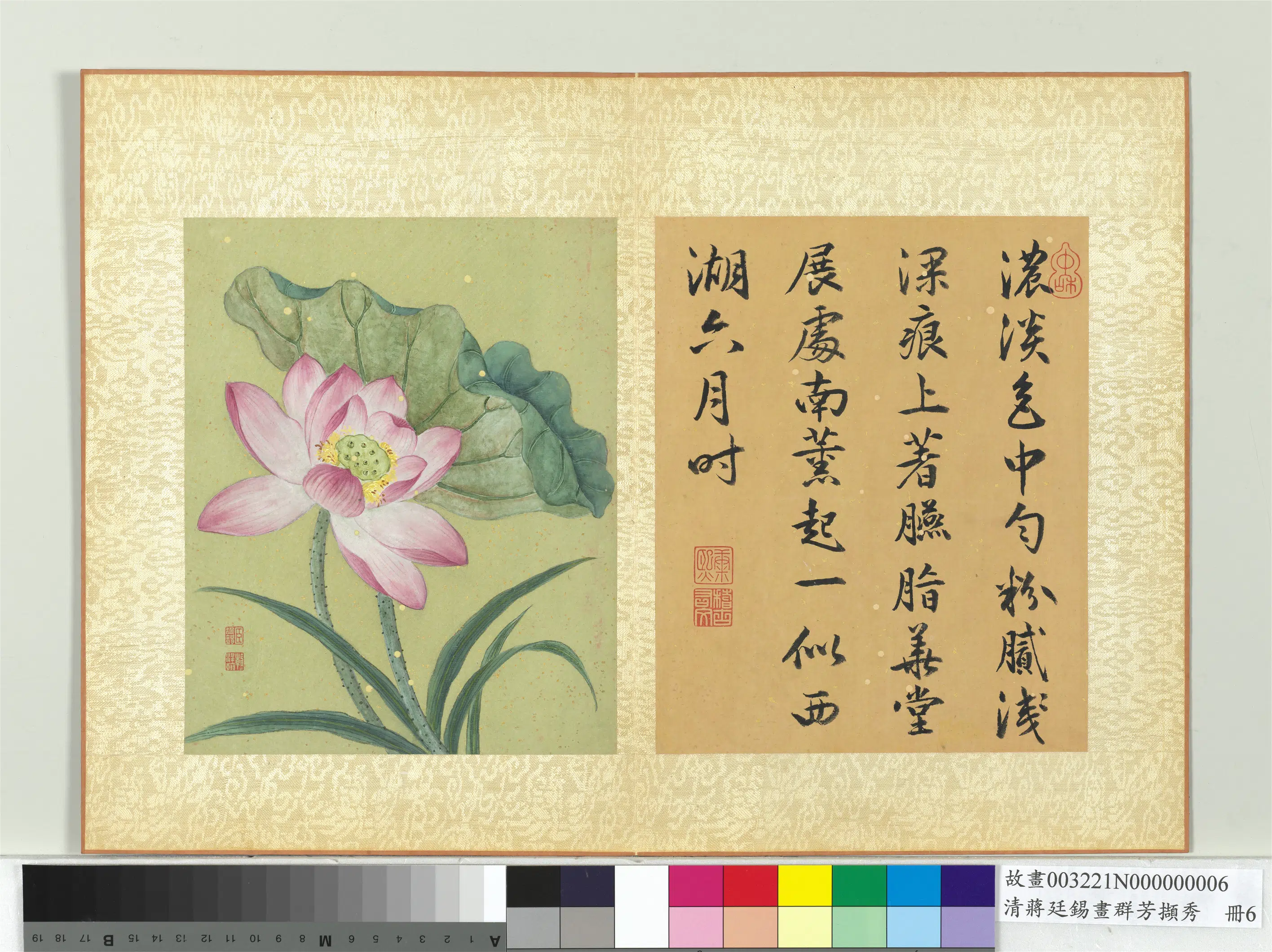 清代【蒋廷锡】《画群芳撷秀册-荷花》