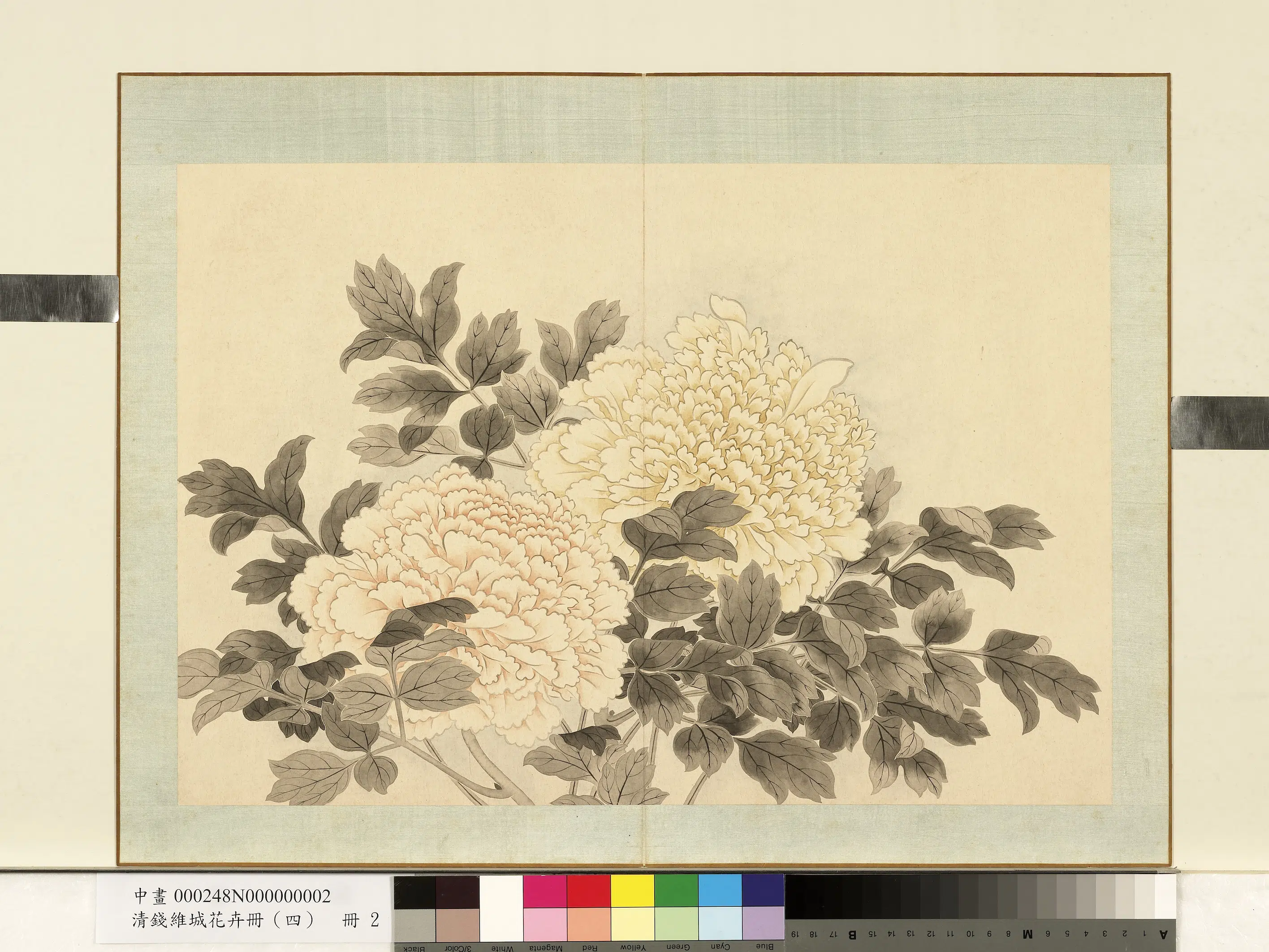 清代【钱维城】《花卉册（四）册-画牡丹之二》