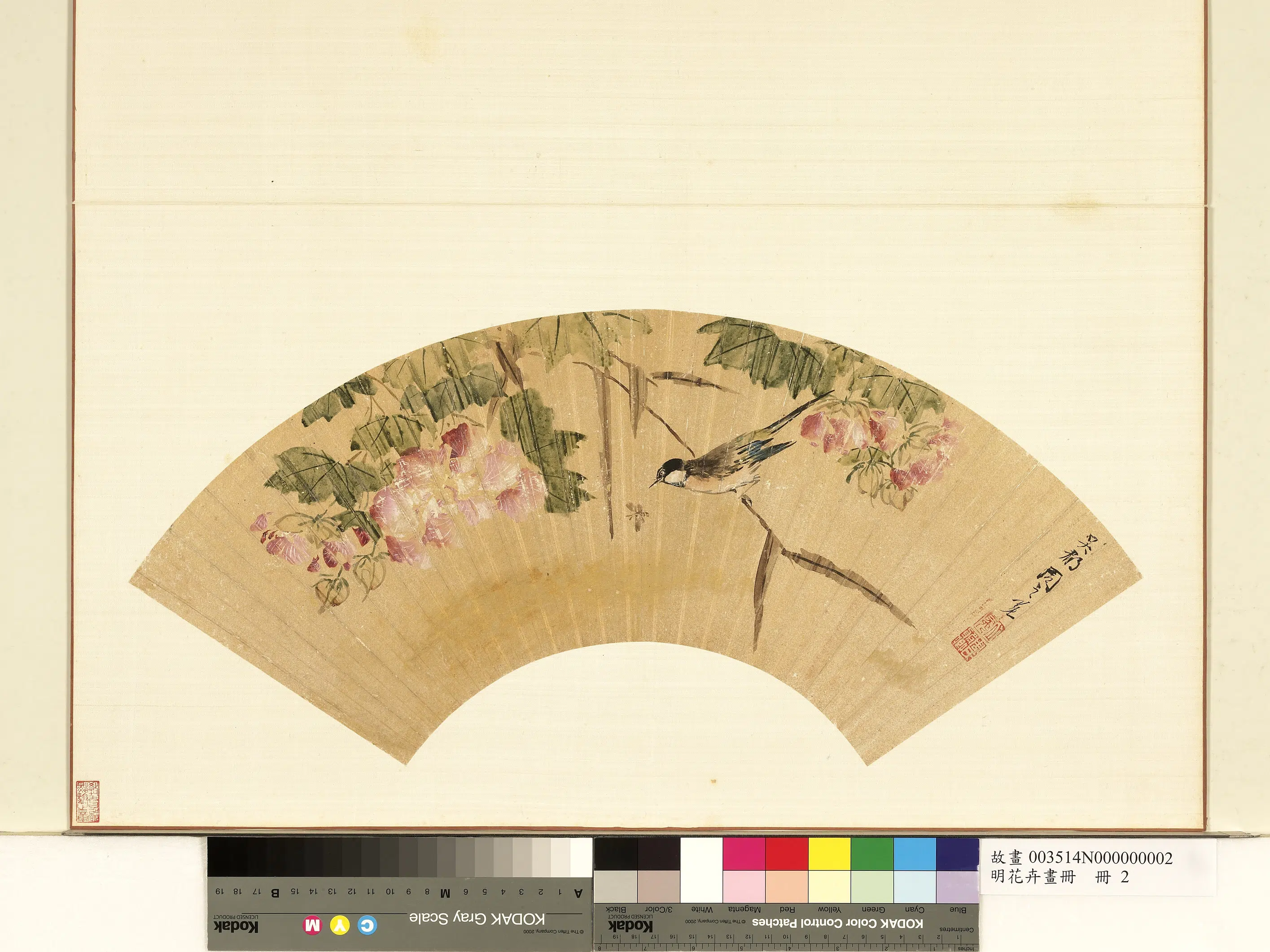 明朝《明花卉画册》 第3张