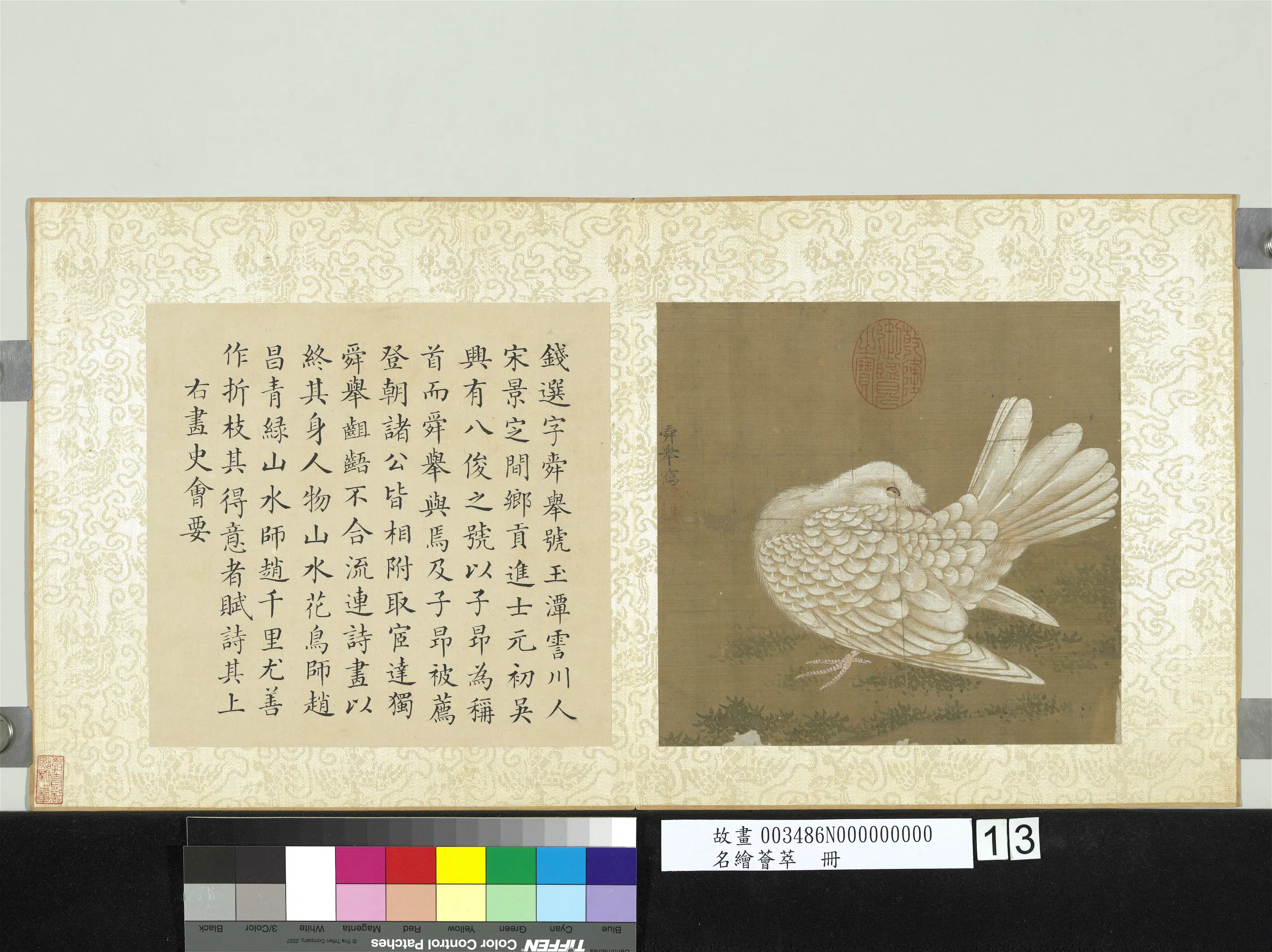 宋-元朝【钱选】《白鸽图_名绘荟萃册》