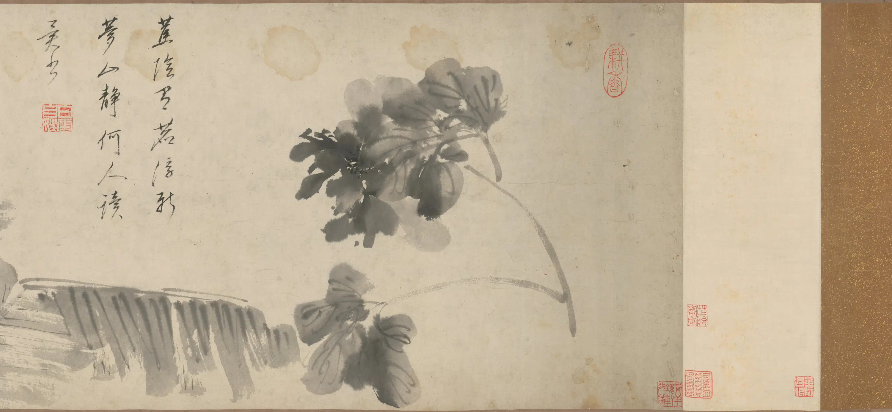 清代【朱耷】《花卉卷》 第6张