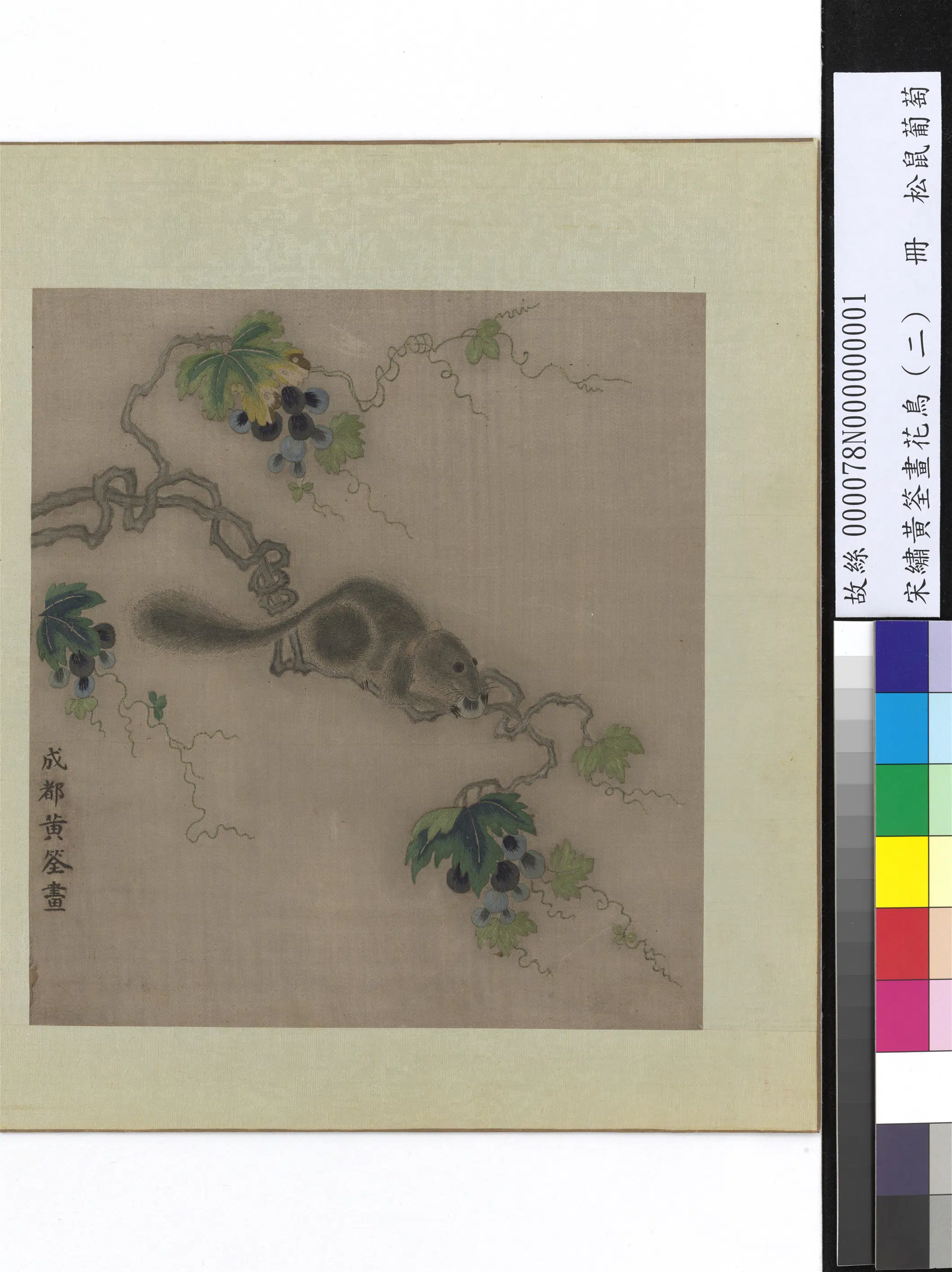 五代十国前后蜀【黄筌（荃）】《绣黄筌画花鸟（二）册-松鼠葡萄》 第1张